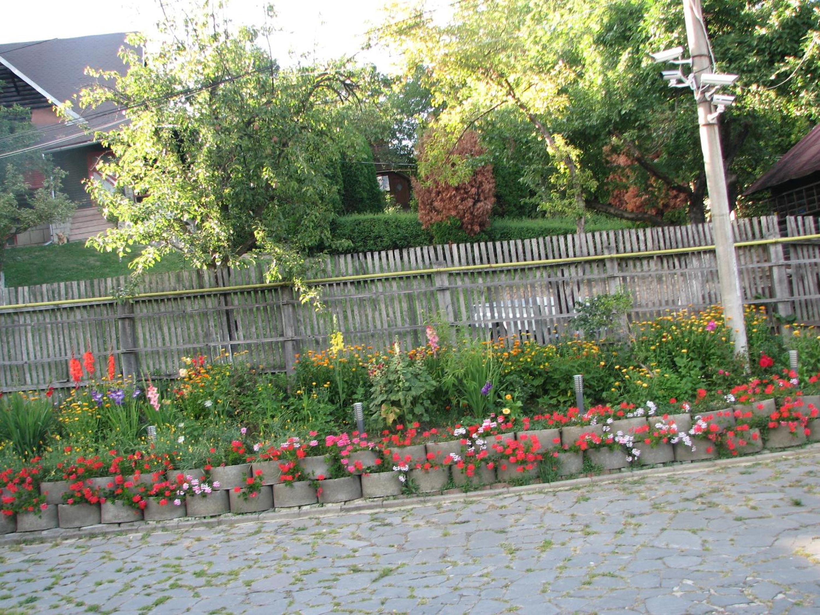 Photo 29