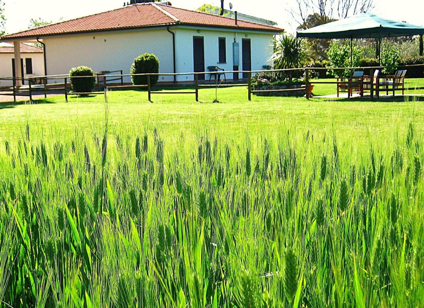 Agriturismo La Valle Dell'Albegna view 3