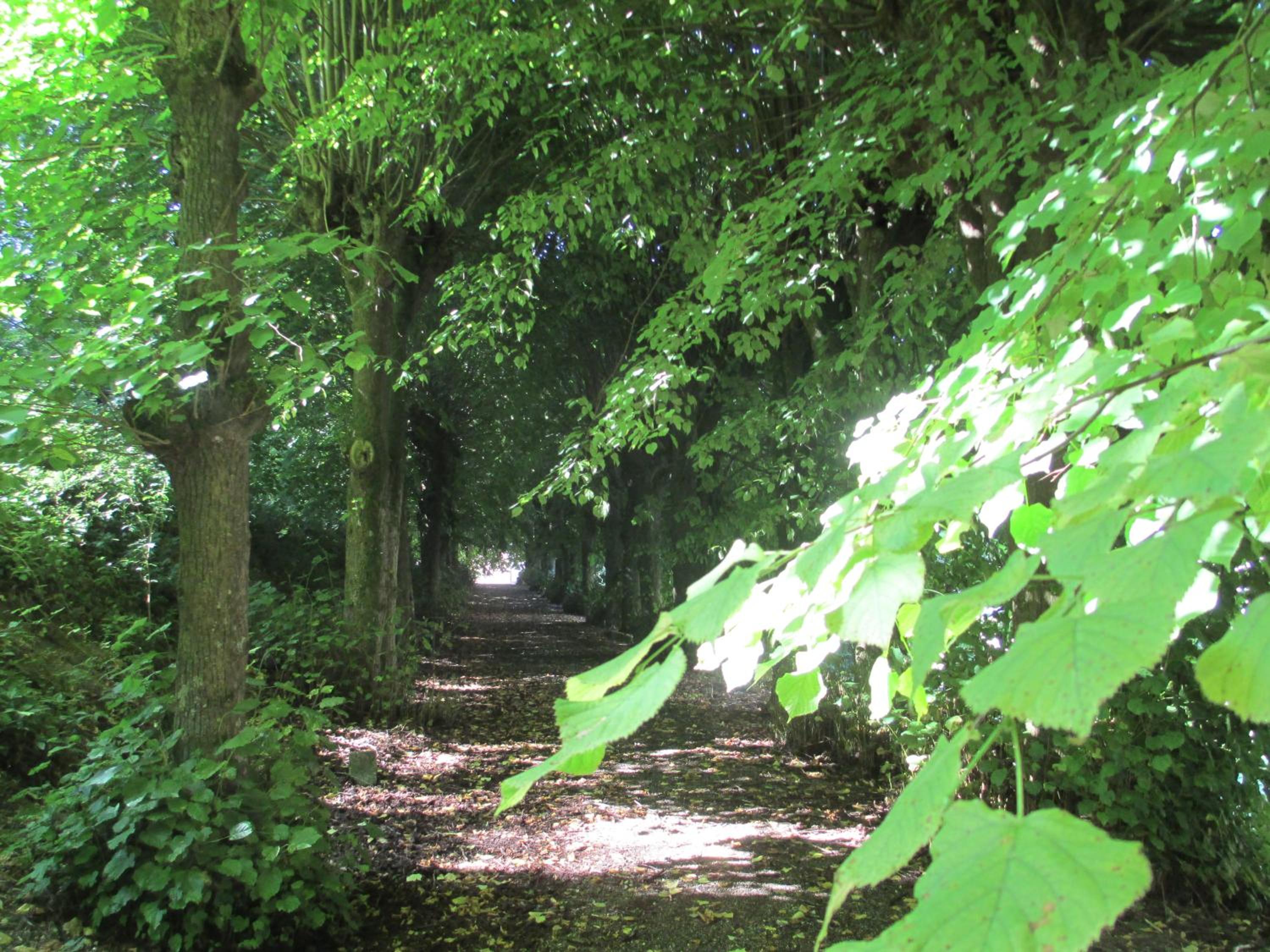 children's play area