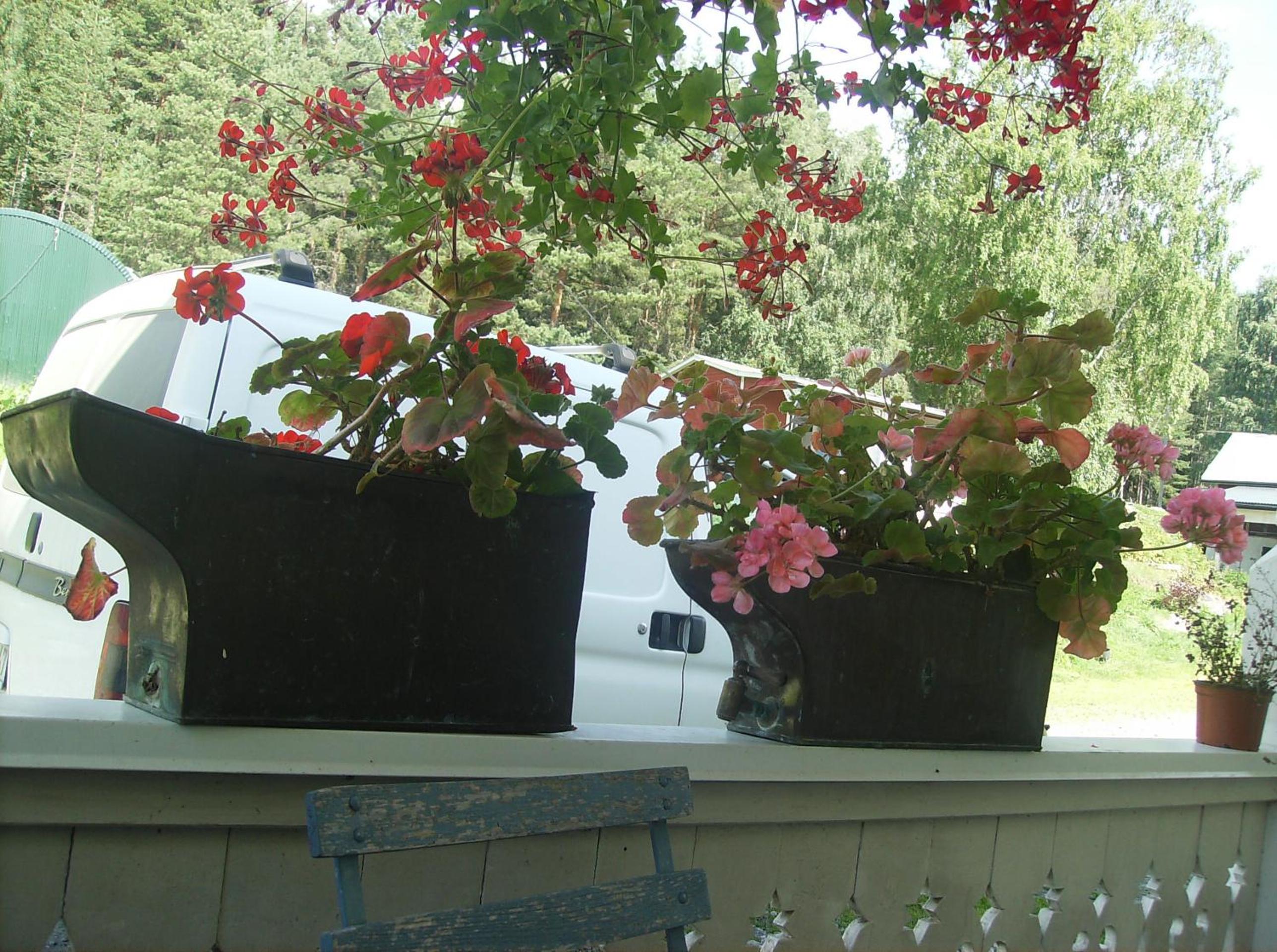 Photo 46