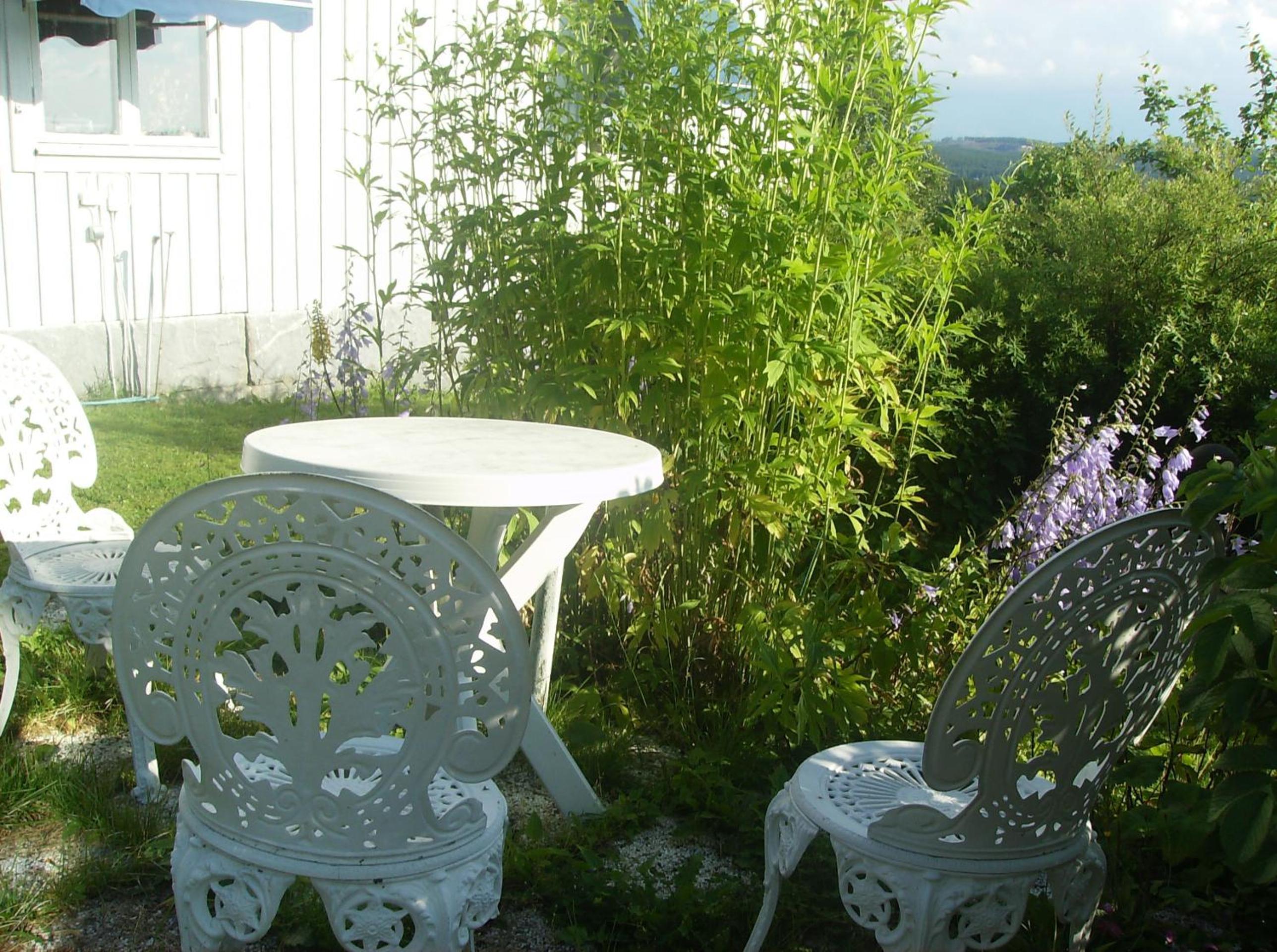 Photo 44