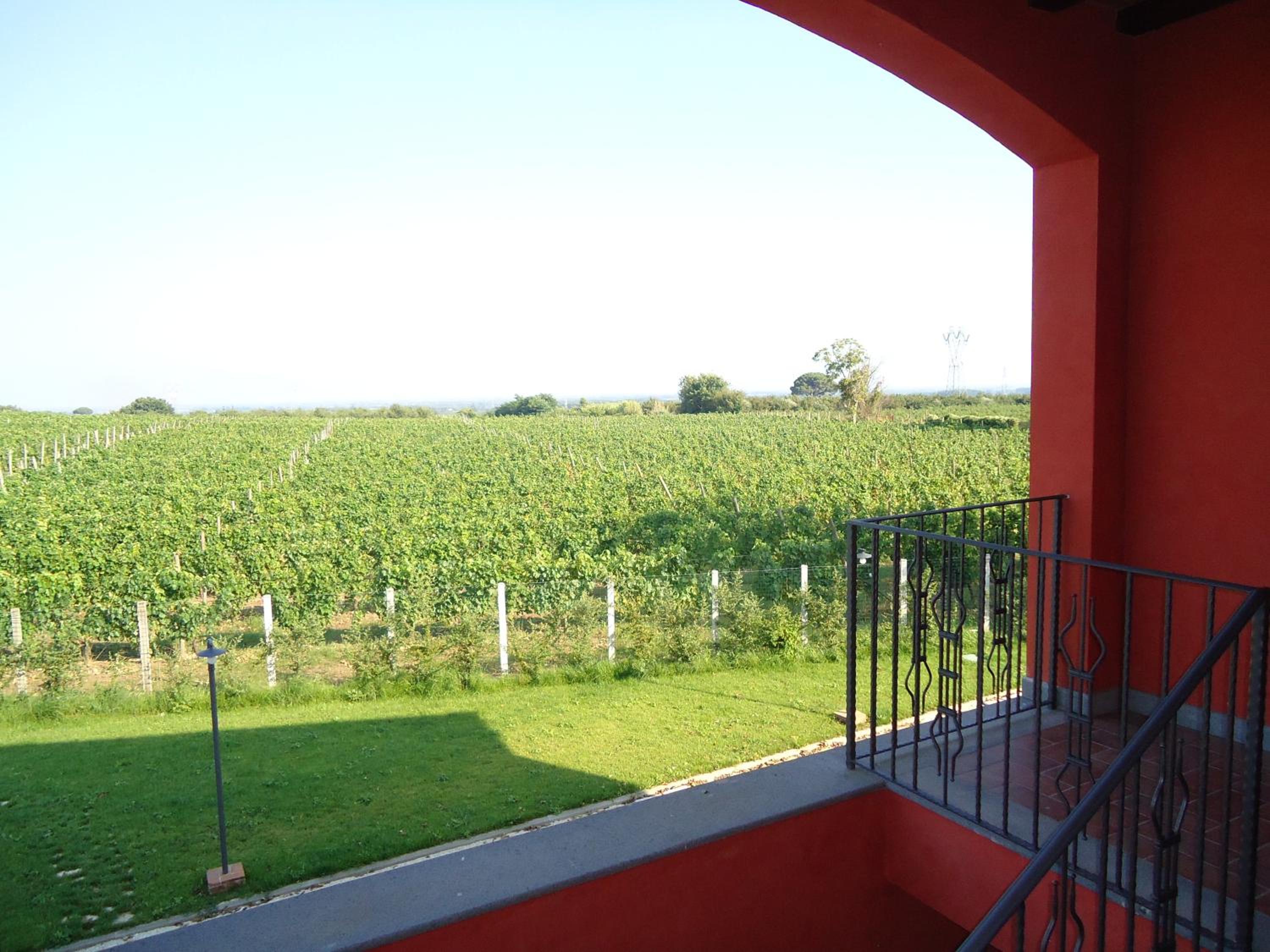 Agrituirsmo Masseria Campierti