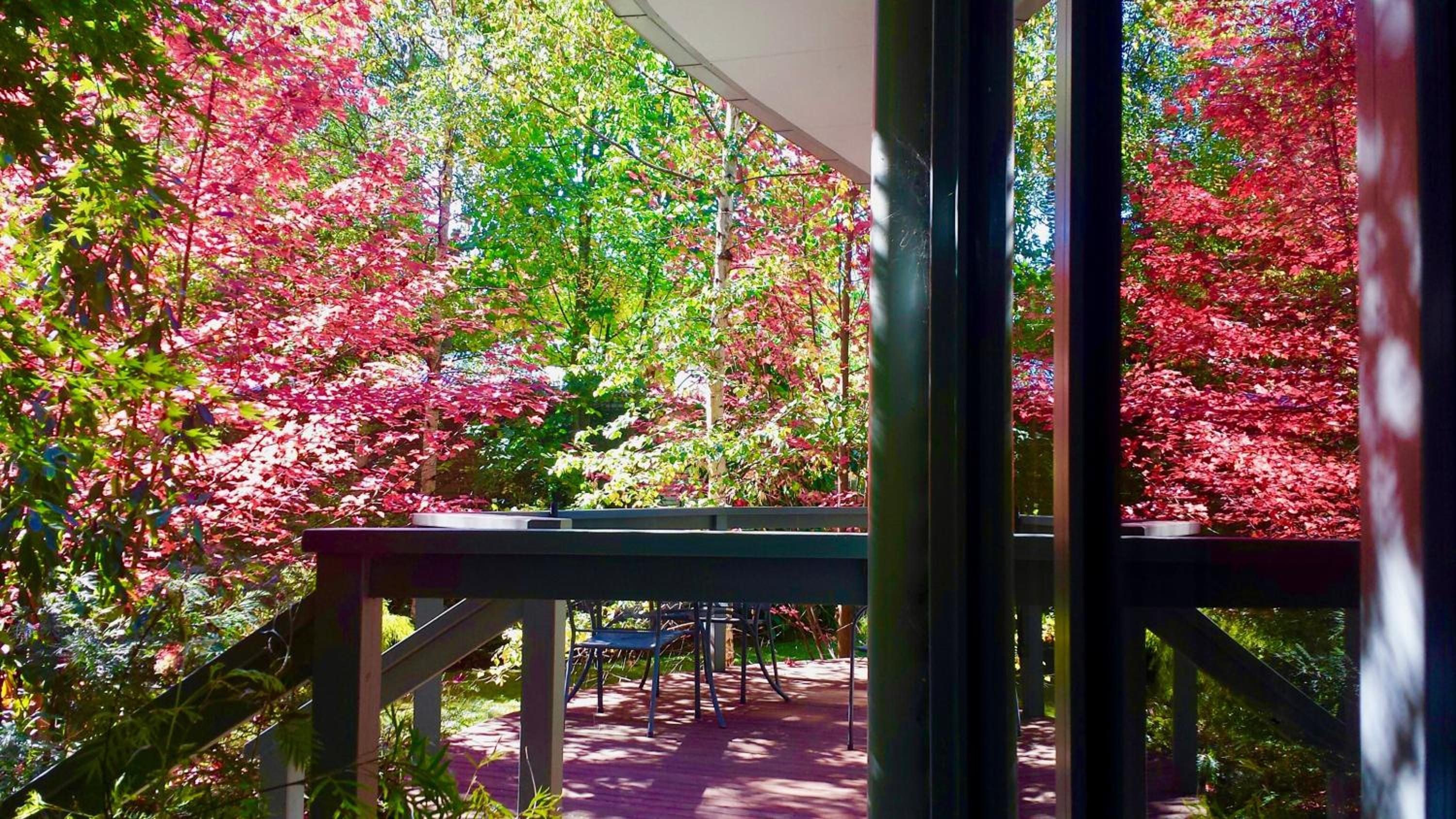 Dalrymples Guest Cottages view 5