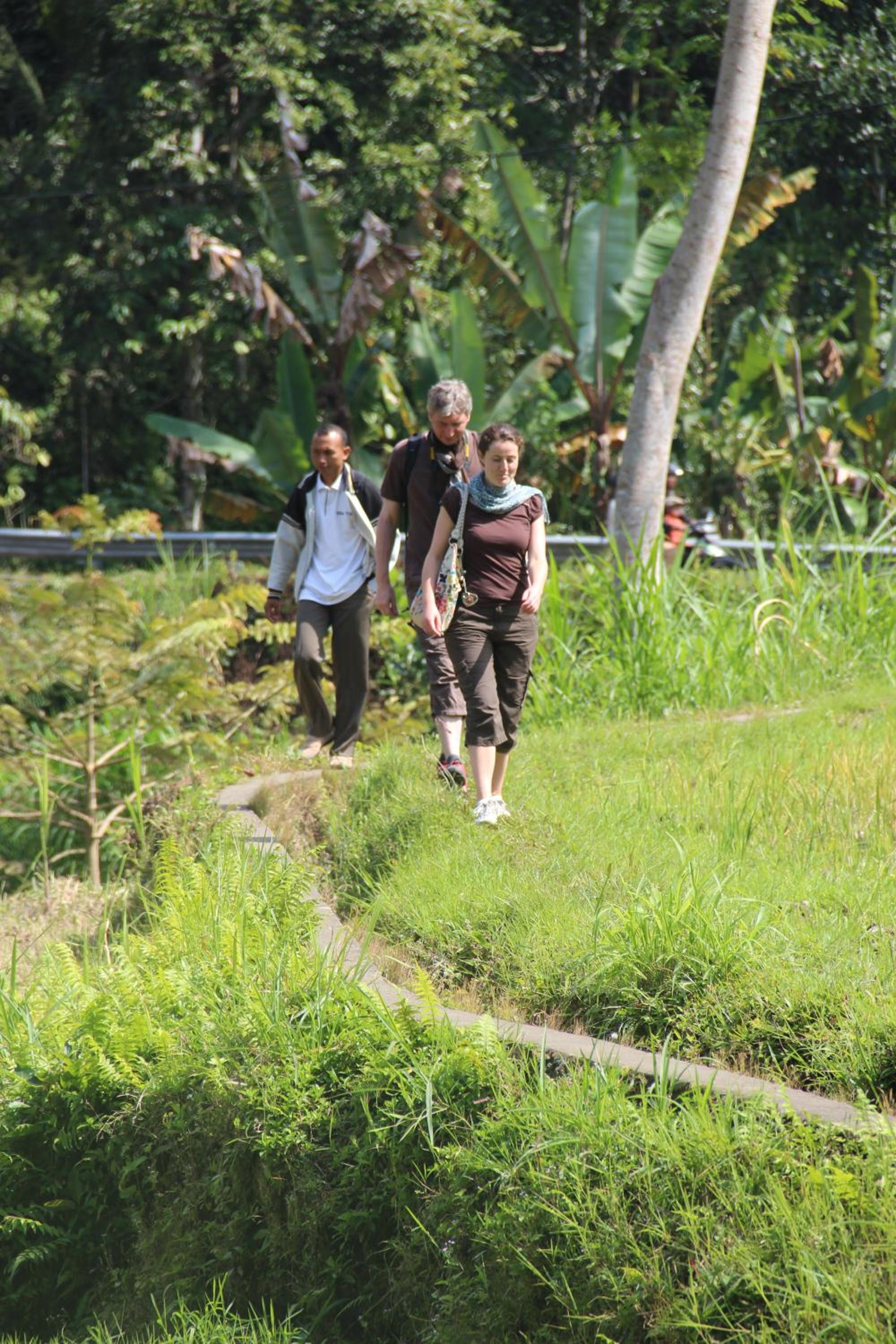 De Klumpu Bali Eco Tradi Stay