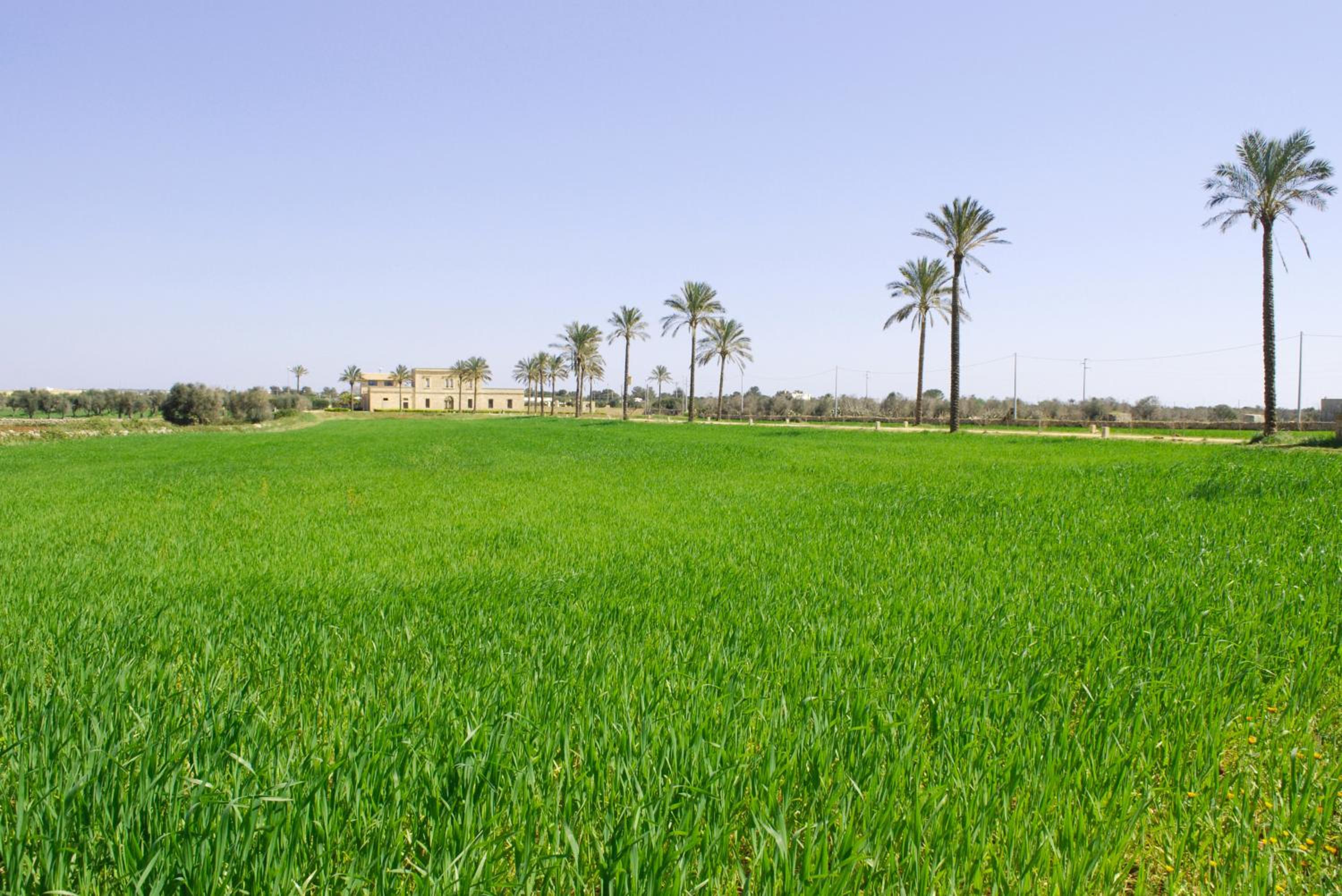 Masseria Galatea Agriturismo