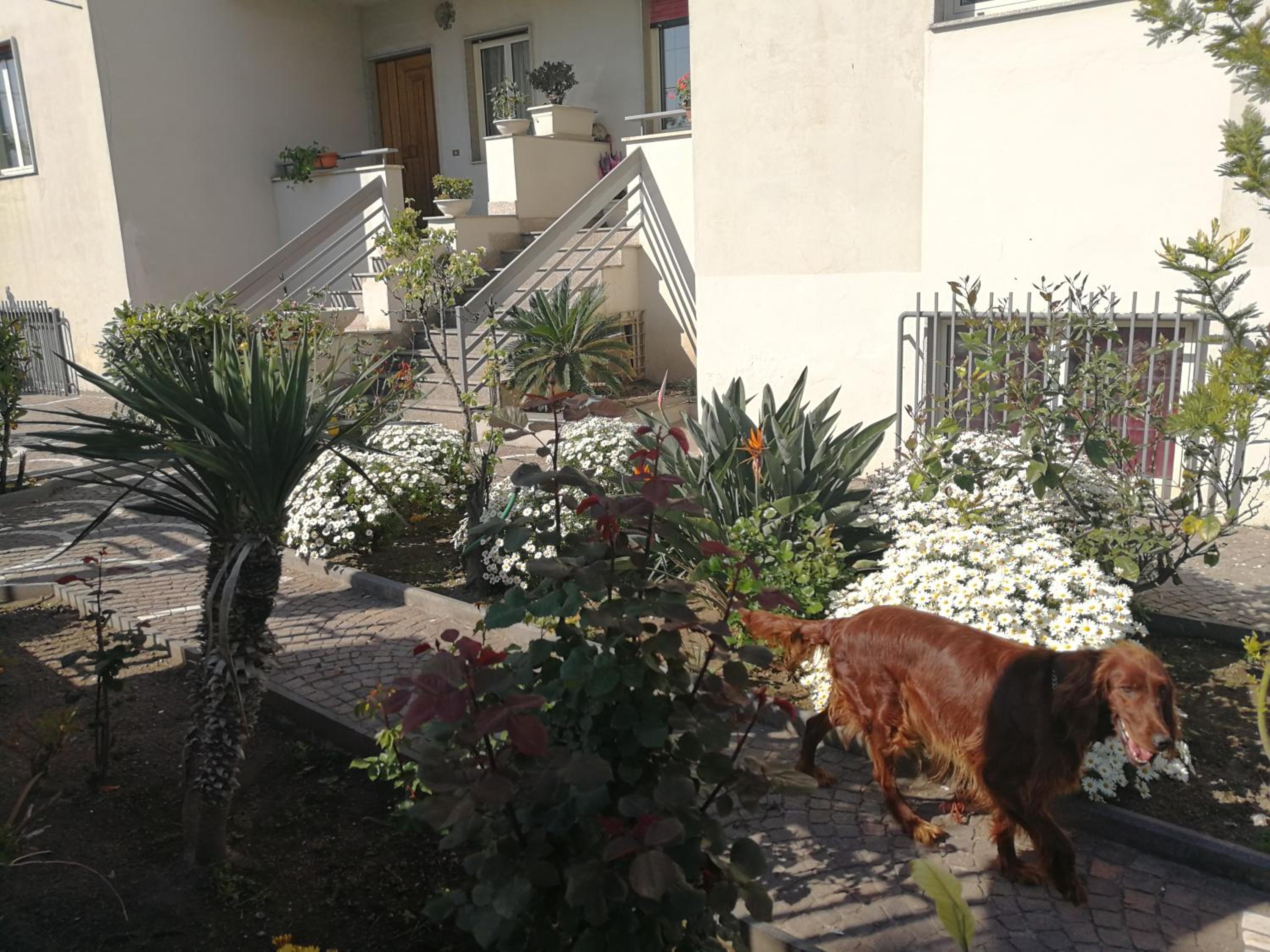 AreA DomuS