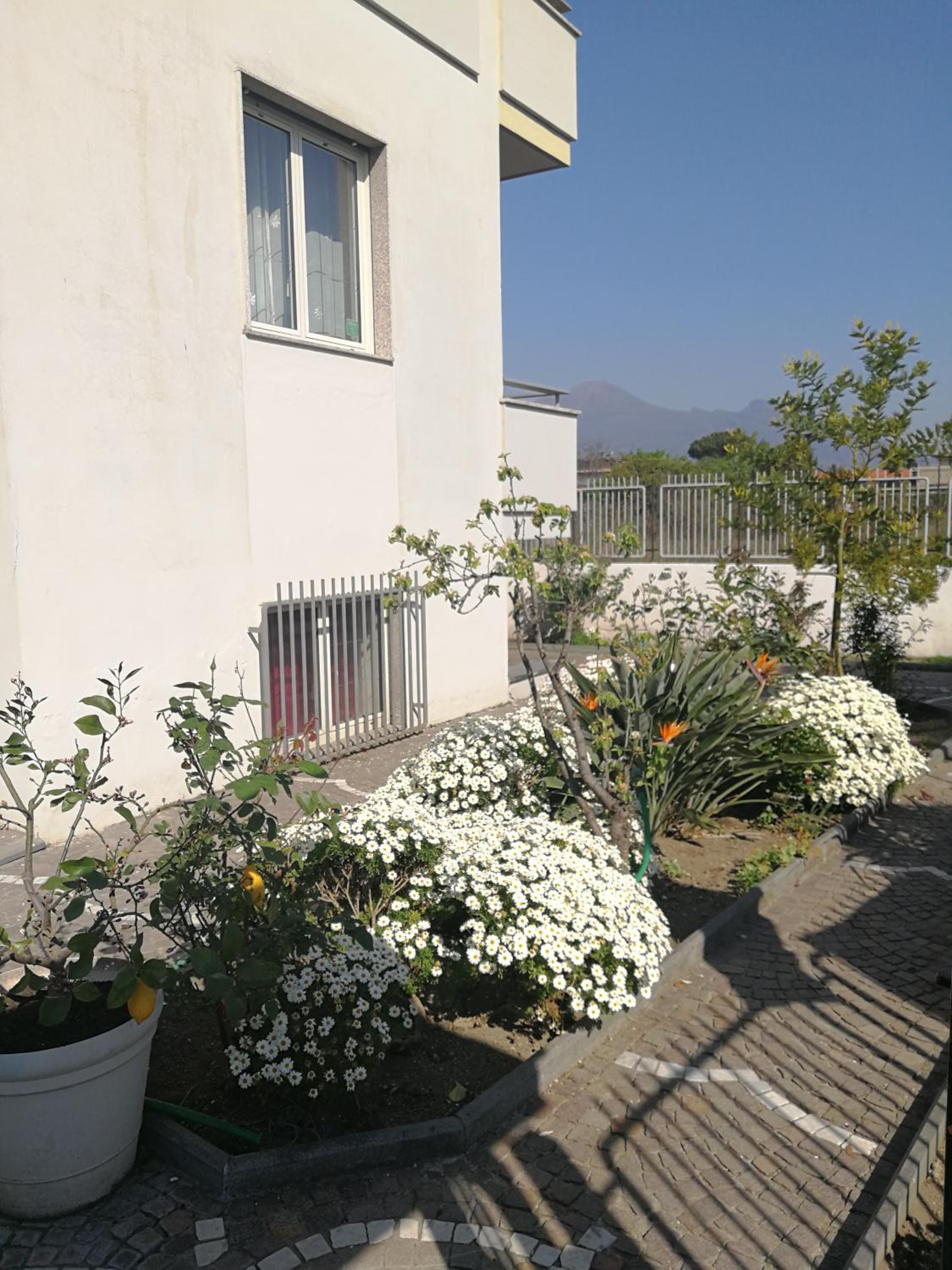 AreA DomuS
