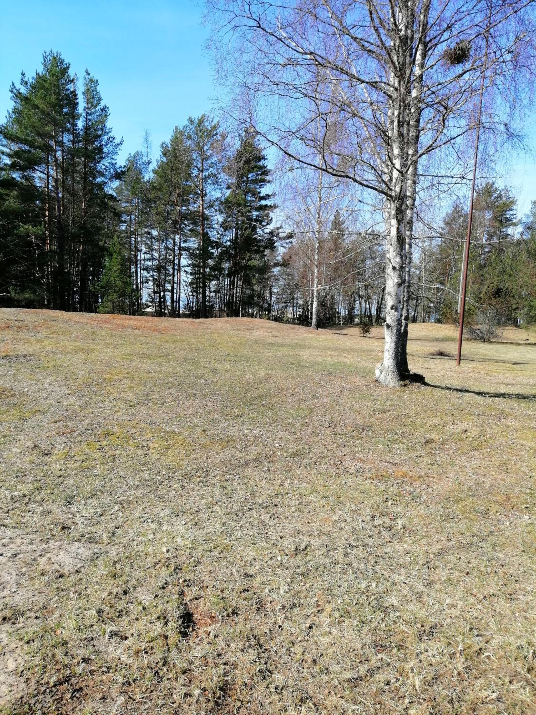 Photo 52