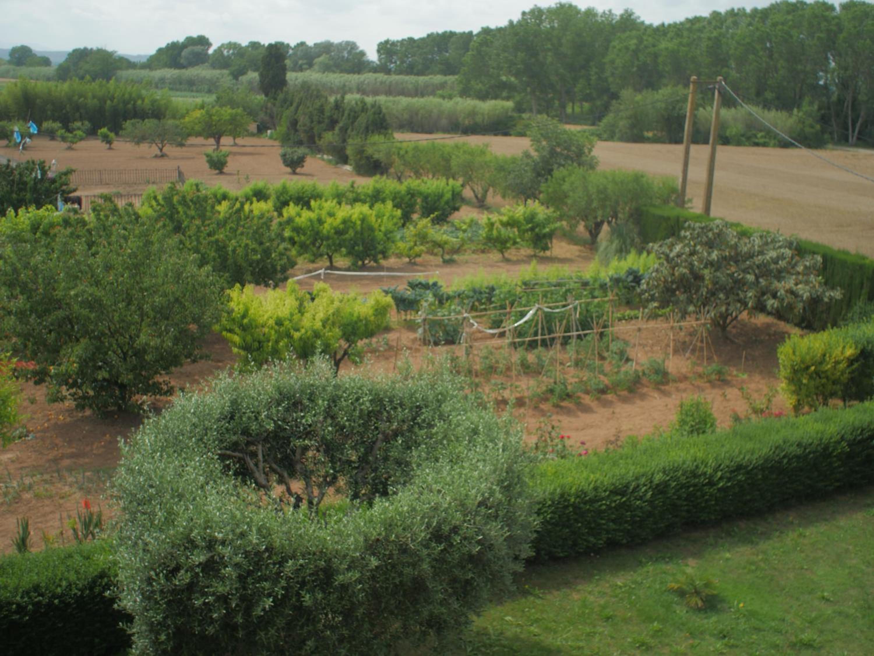 Photo 20