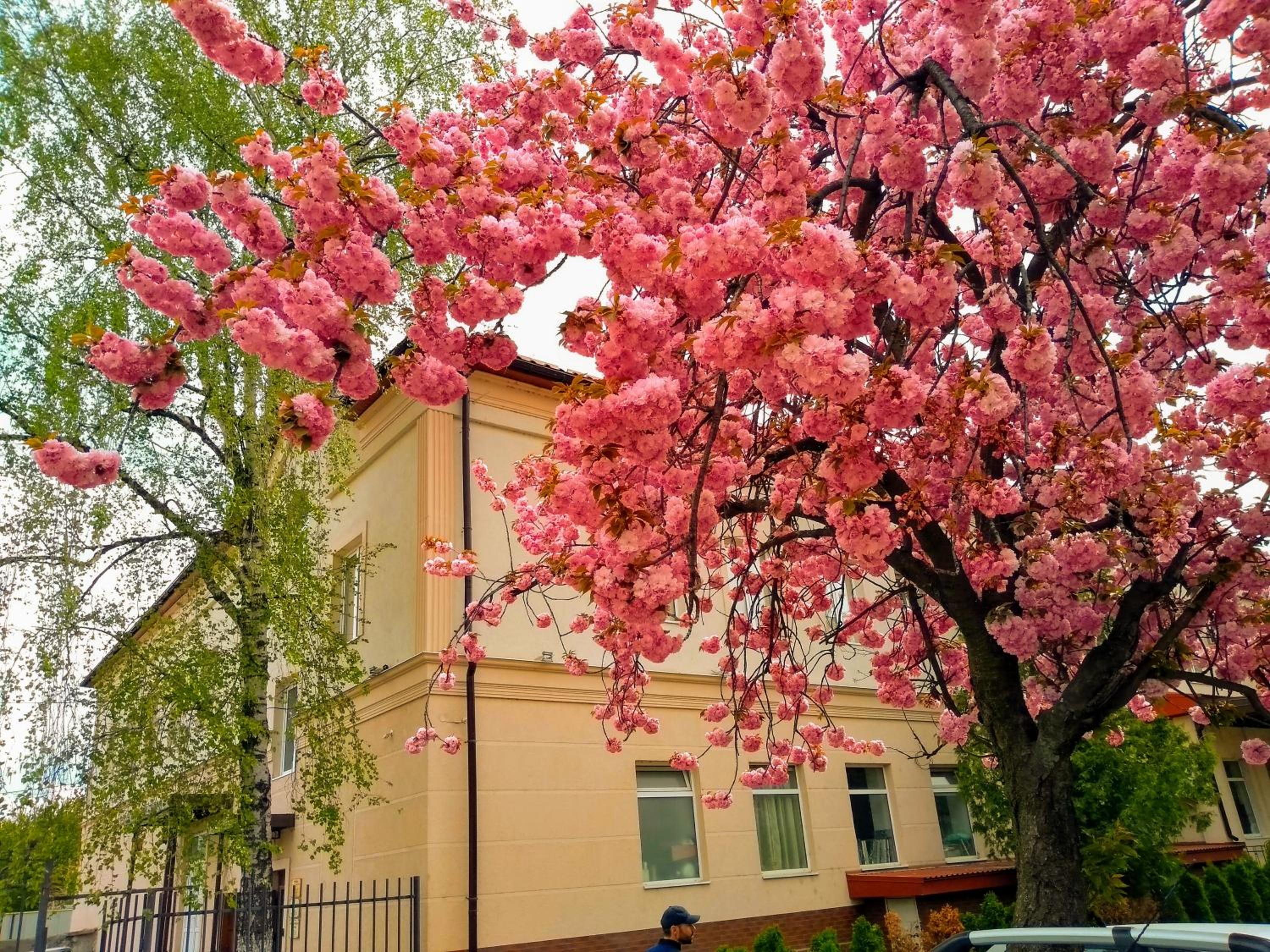 Photo 40