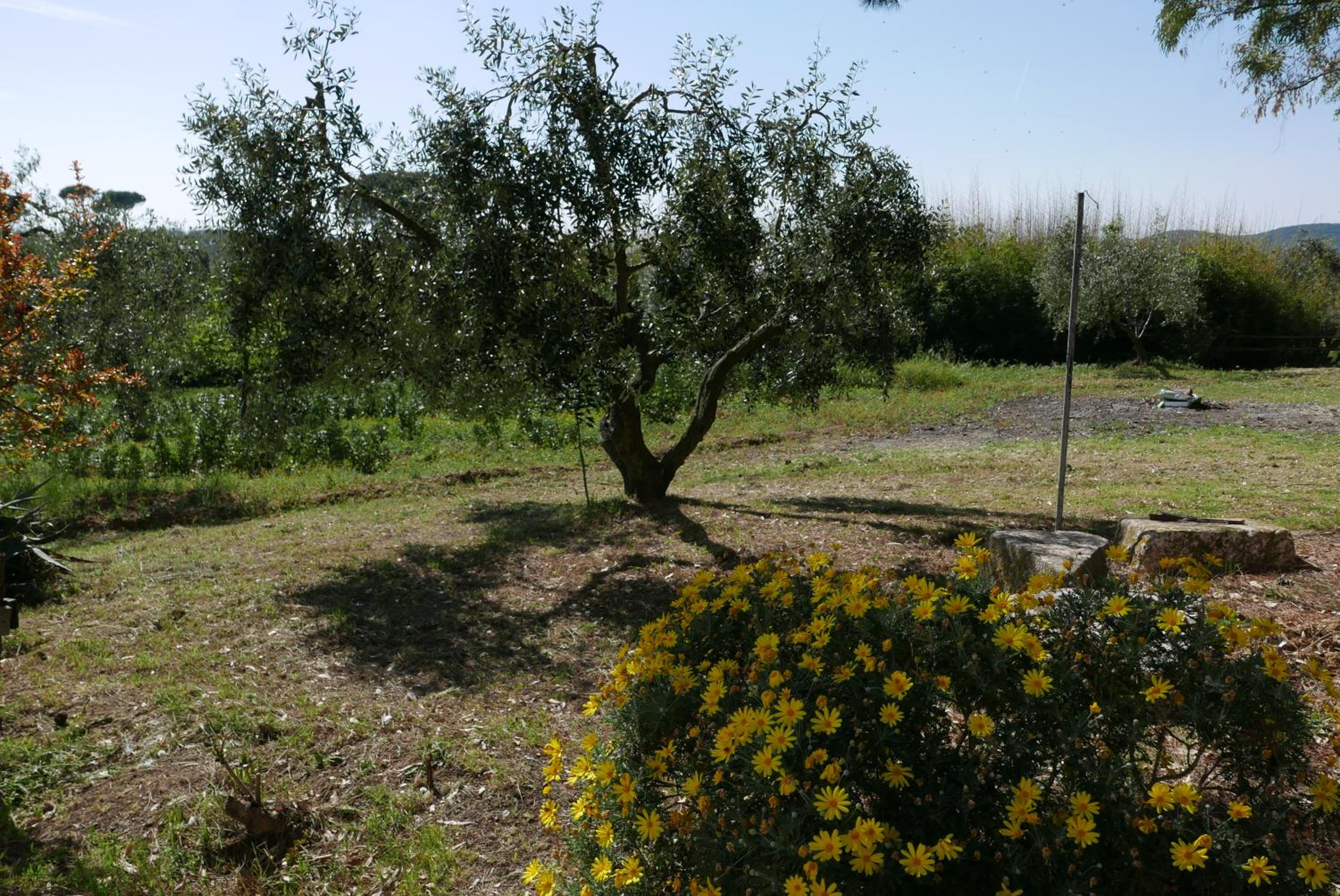 Agriturismo Baratti