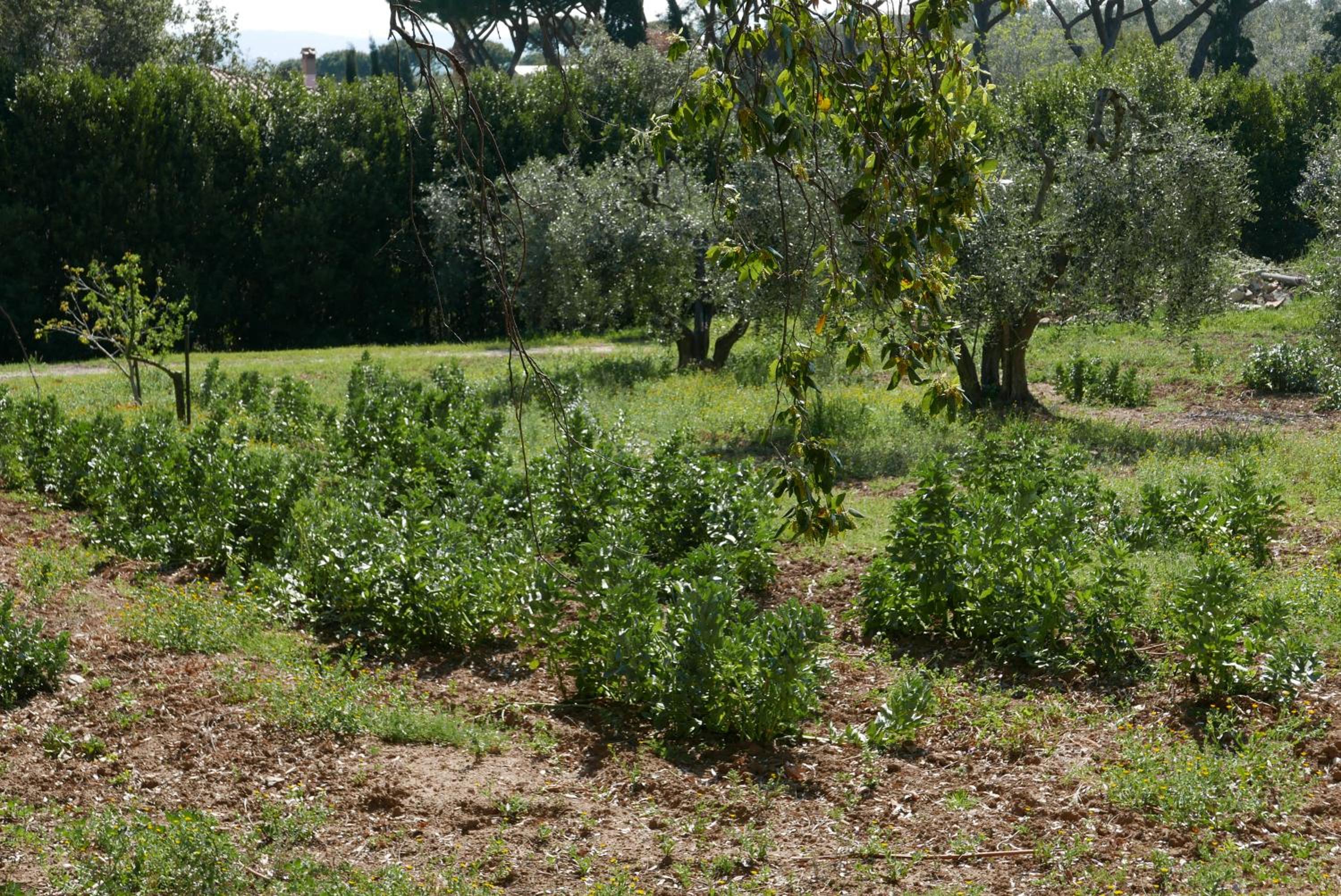 Agriturismo Baratti