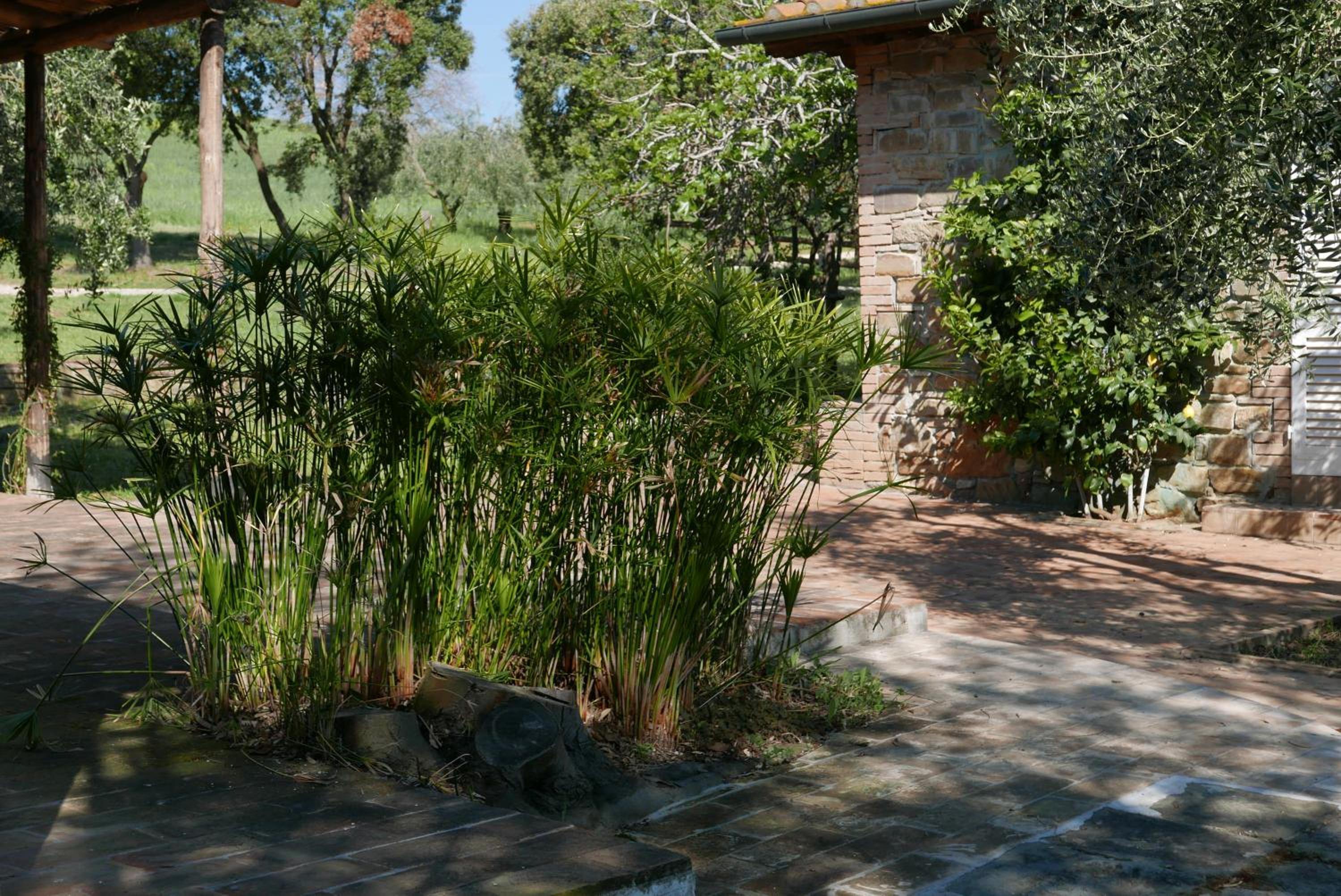 Agriturismo Baratti