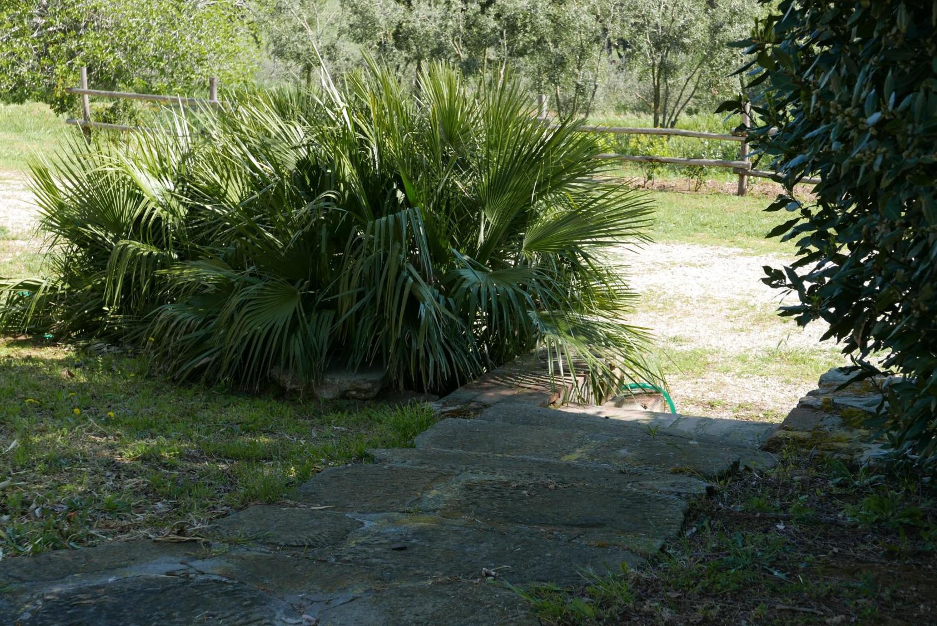 Agriturismo Baratti