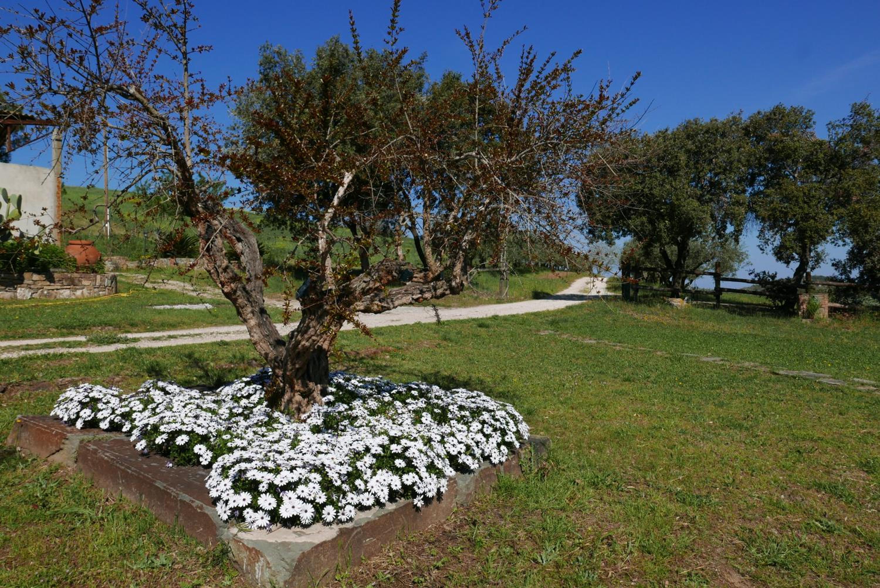 Agriturismo Baratti