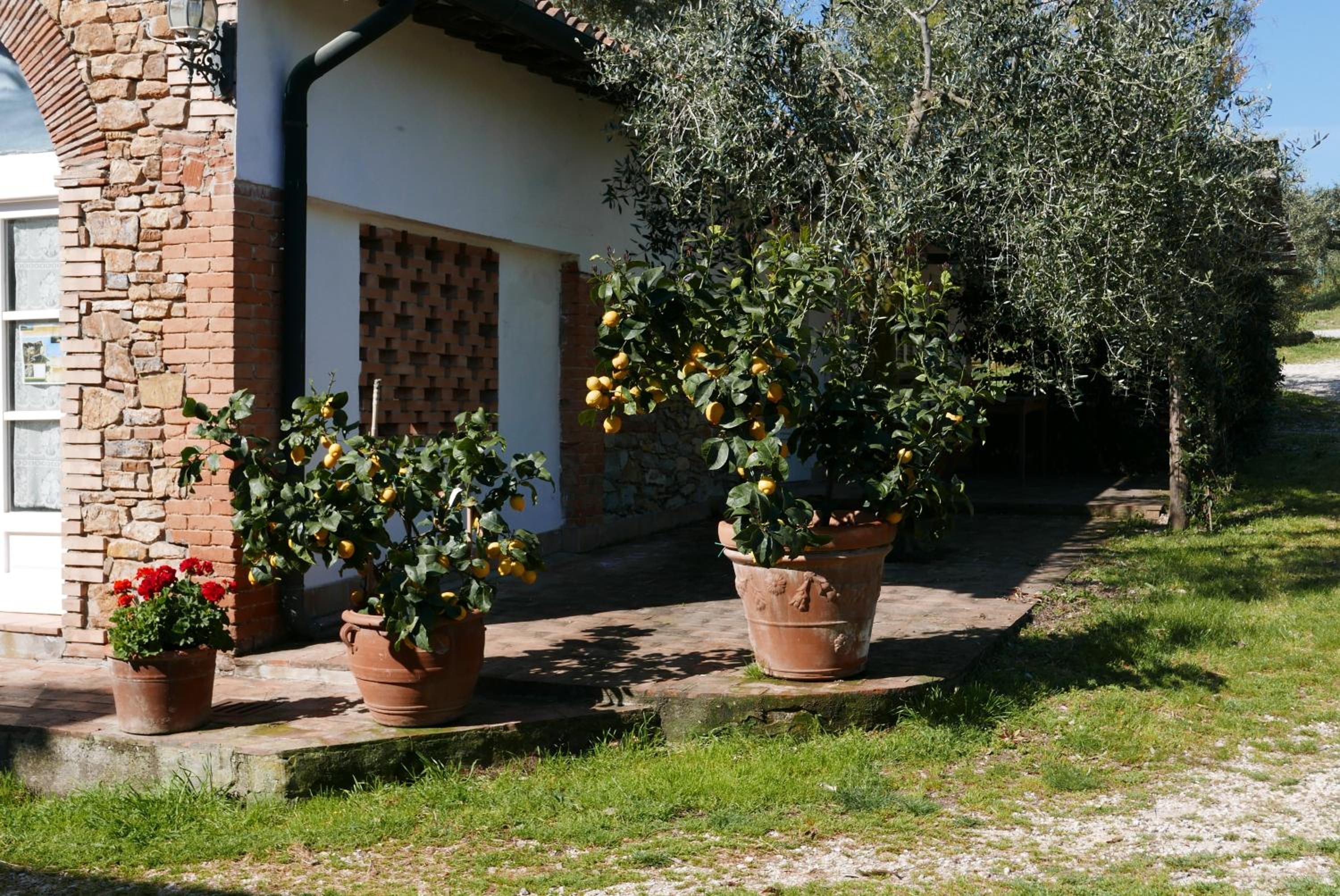 Agriturismo Baratti