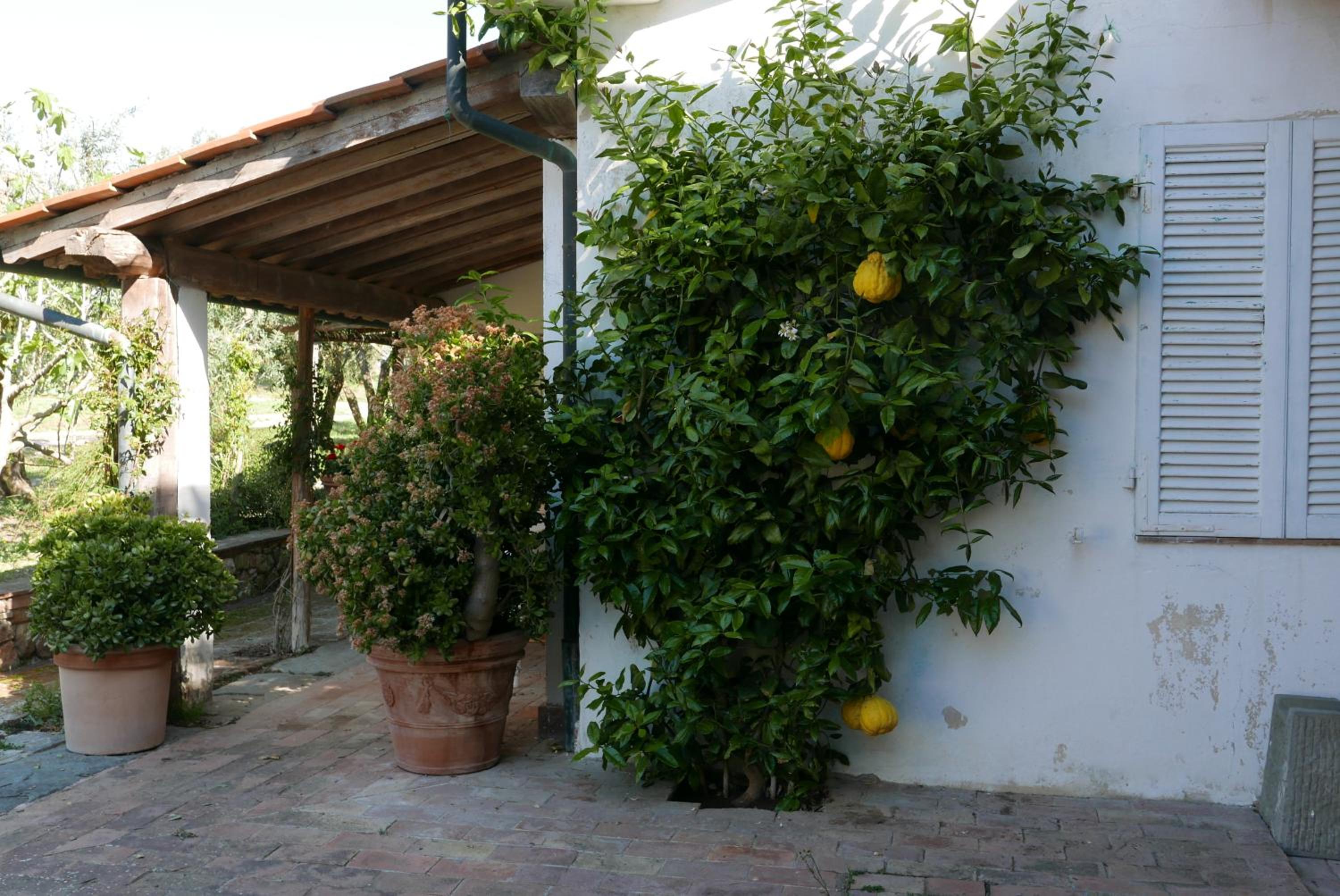 Agriturismo Baratti