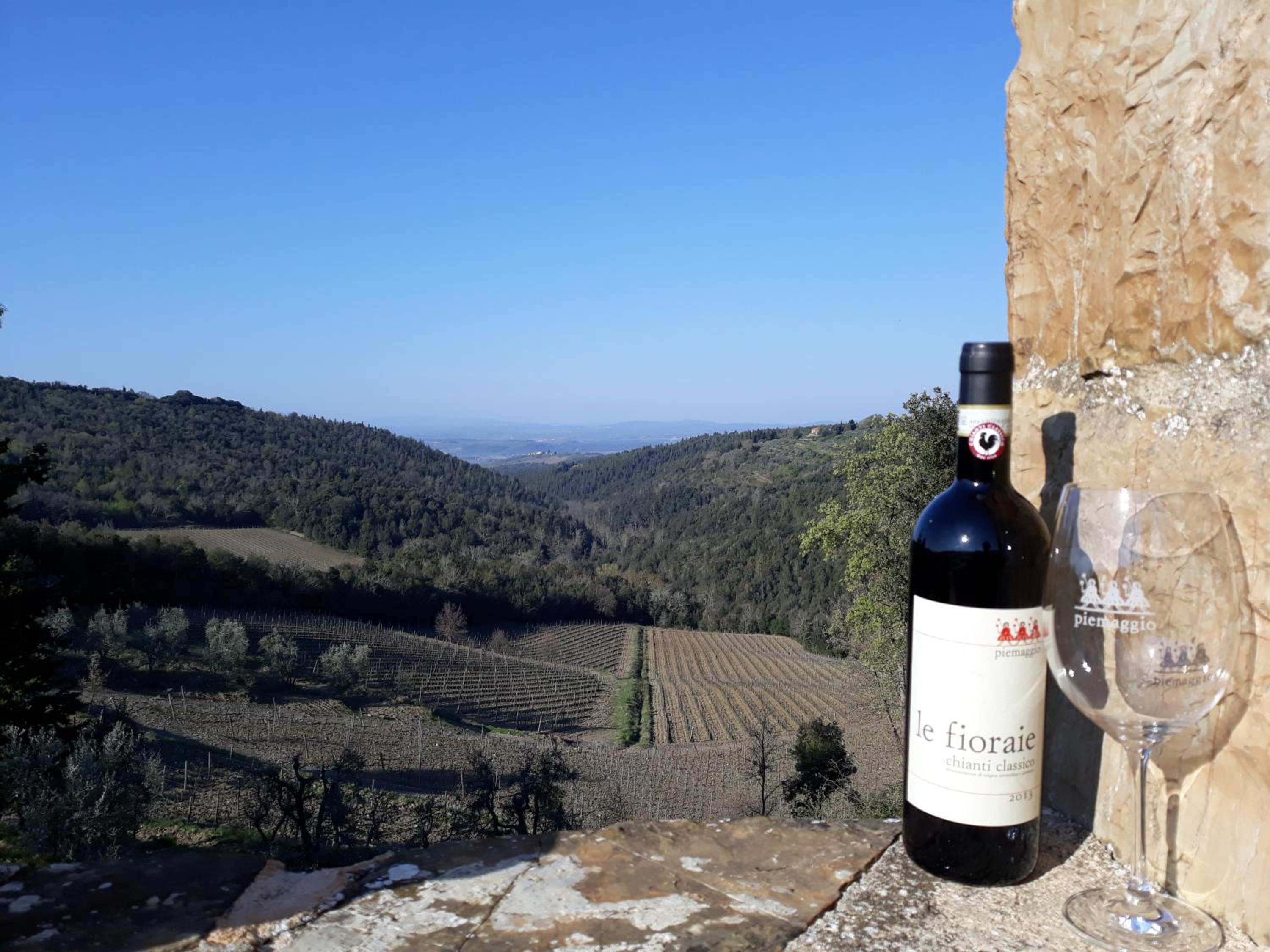 Agriturismo Piemaggino photo 3