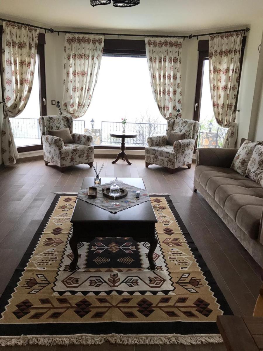 Villa Holiday Sapanca Dibektaş - Isıtmalı Havuz — photo 5