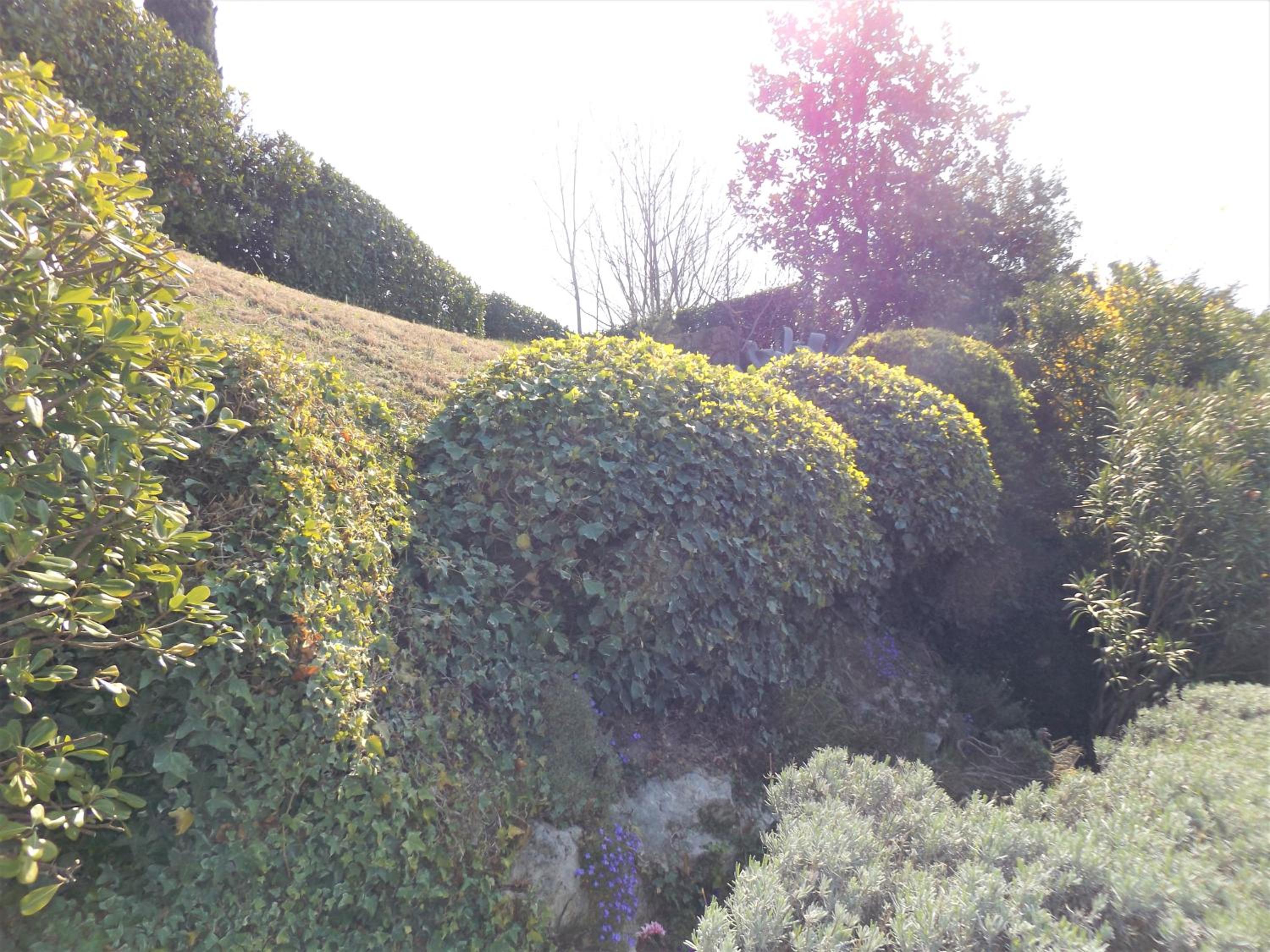 Photo 29