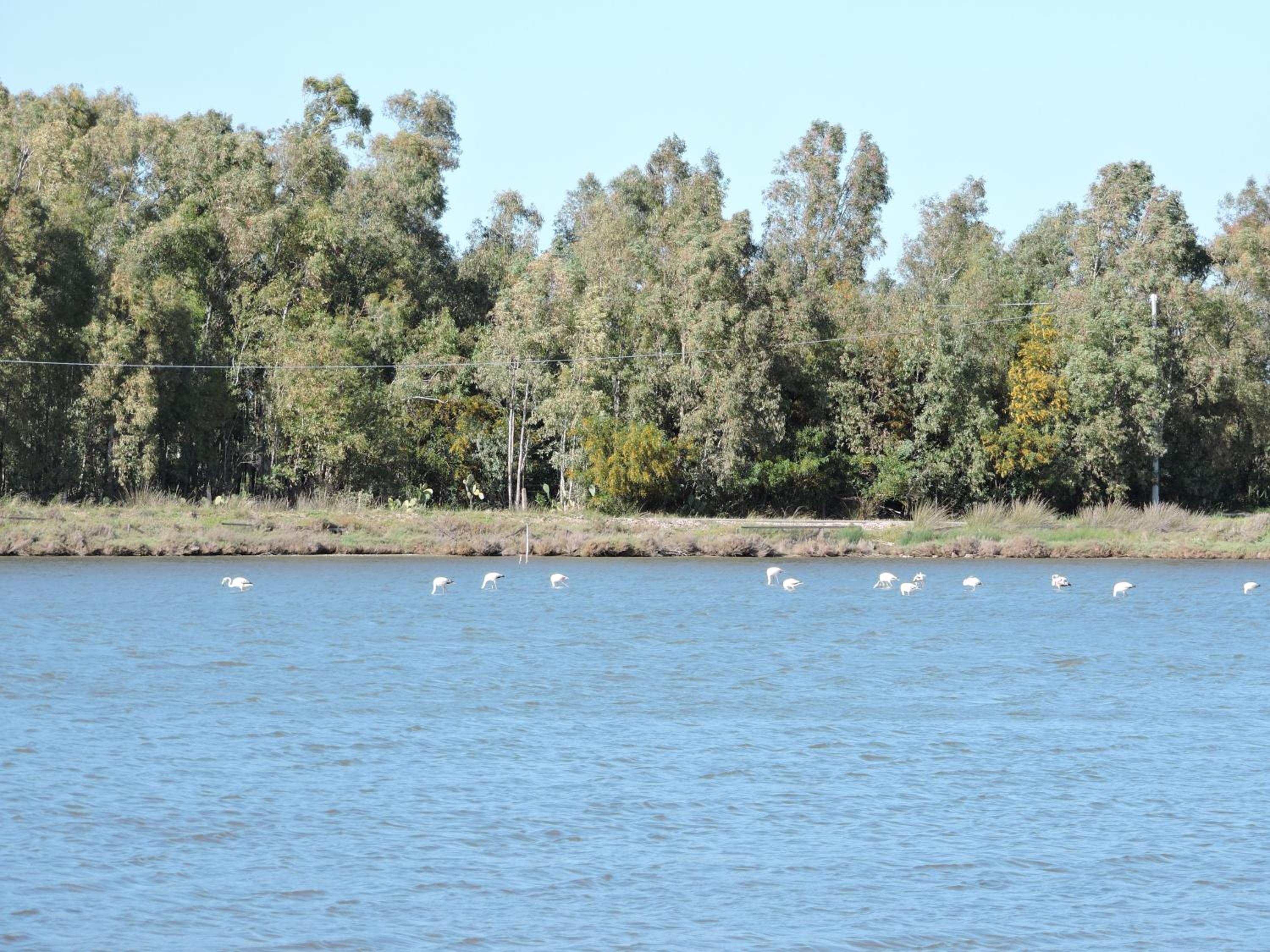 Photo 45