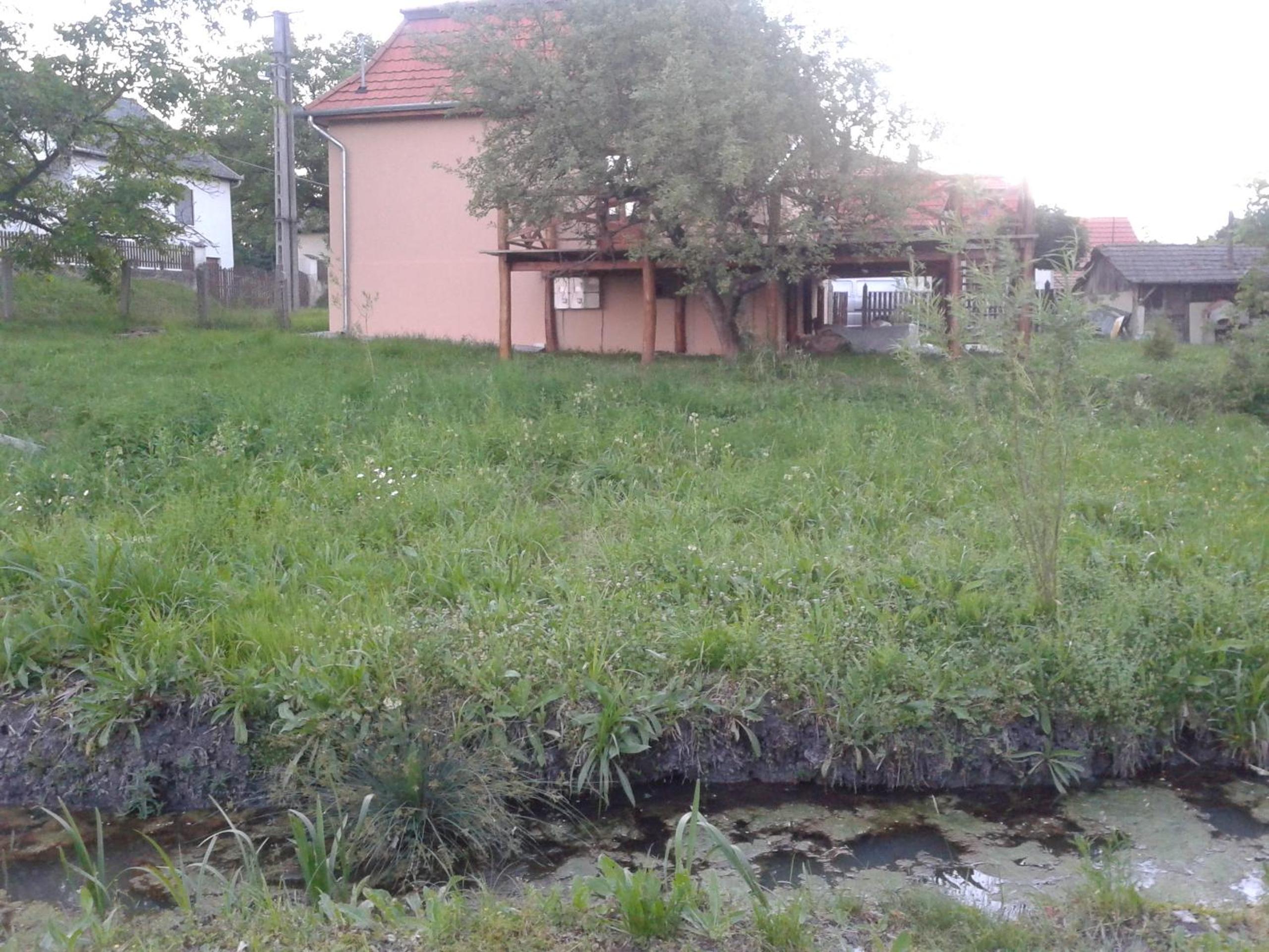 Photo 24
