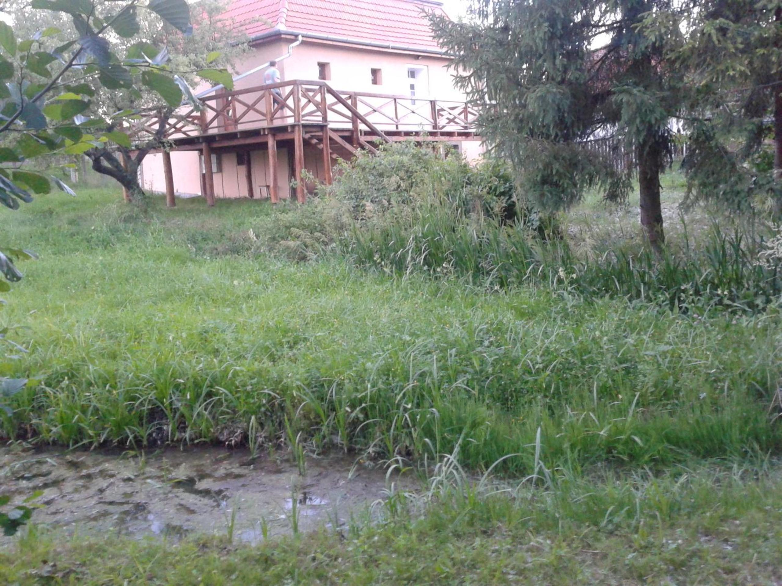 Photo 25
