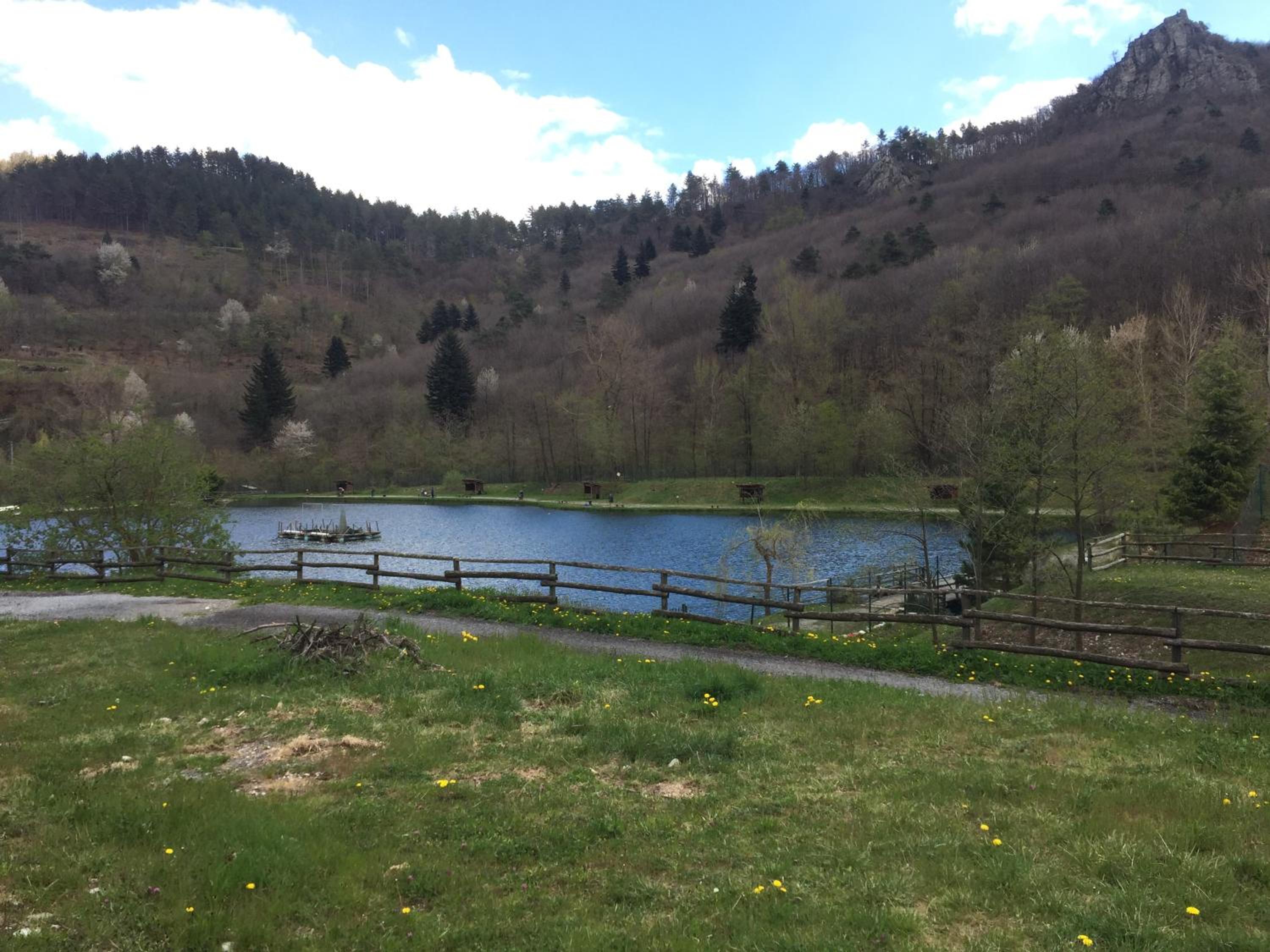 Casa nel bosco view 5