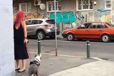 Photo 30