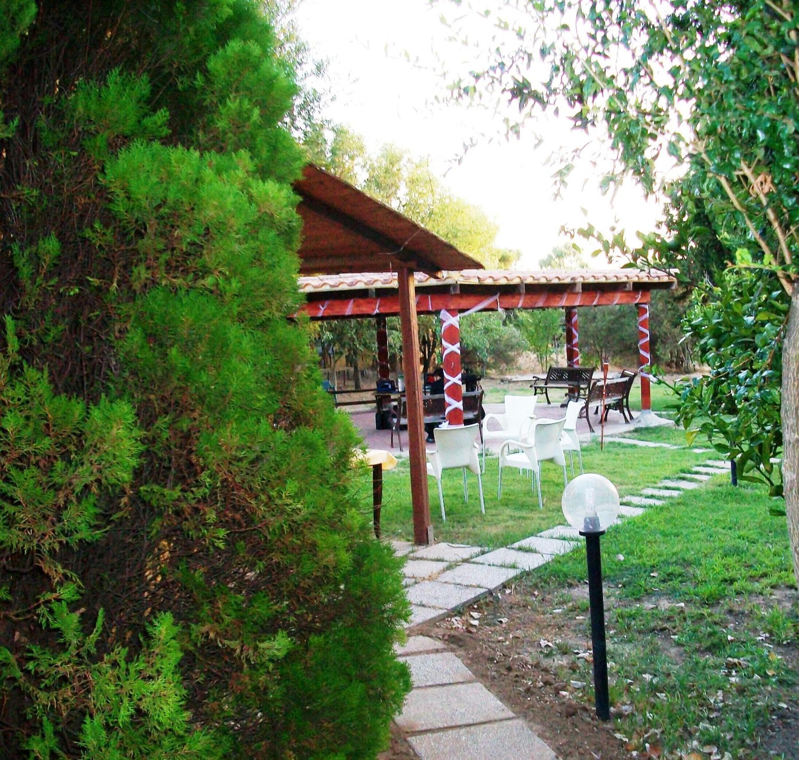 Photo 13