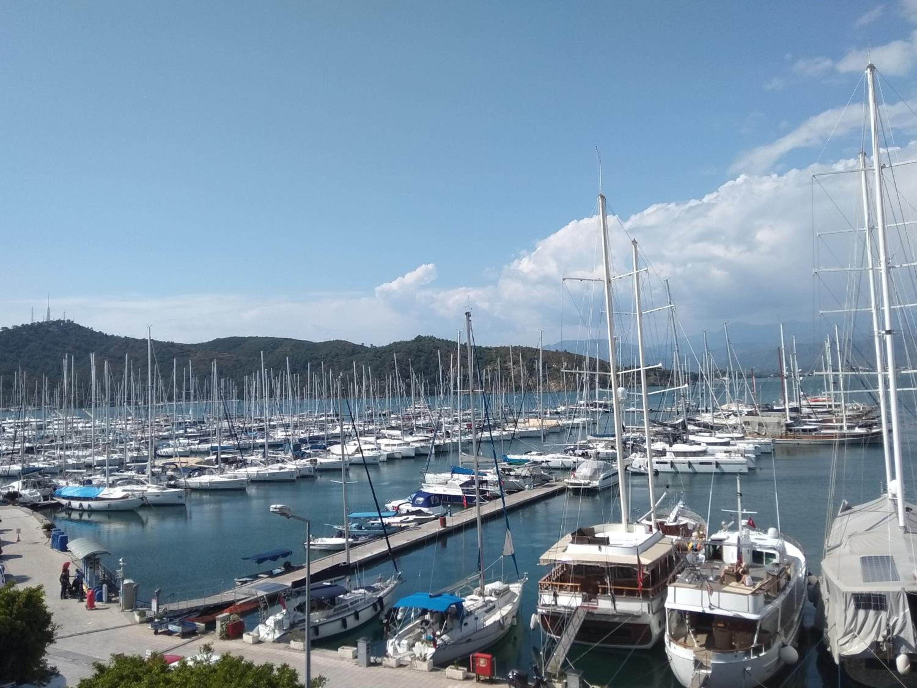Ece Marina Suit - Image 148