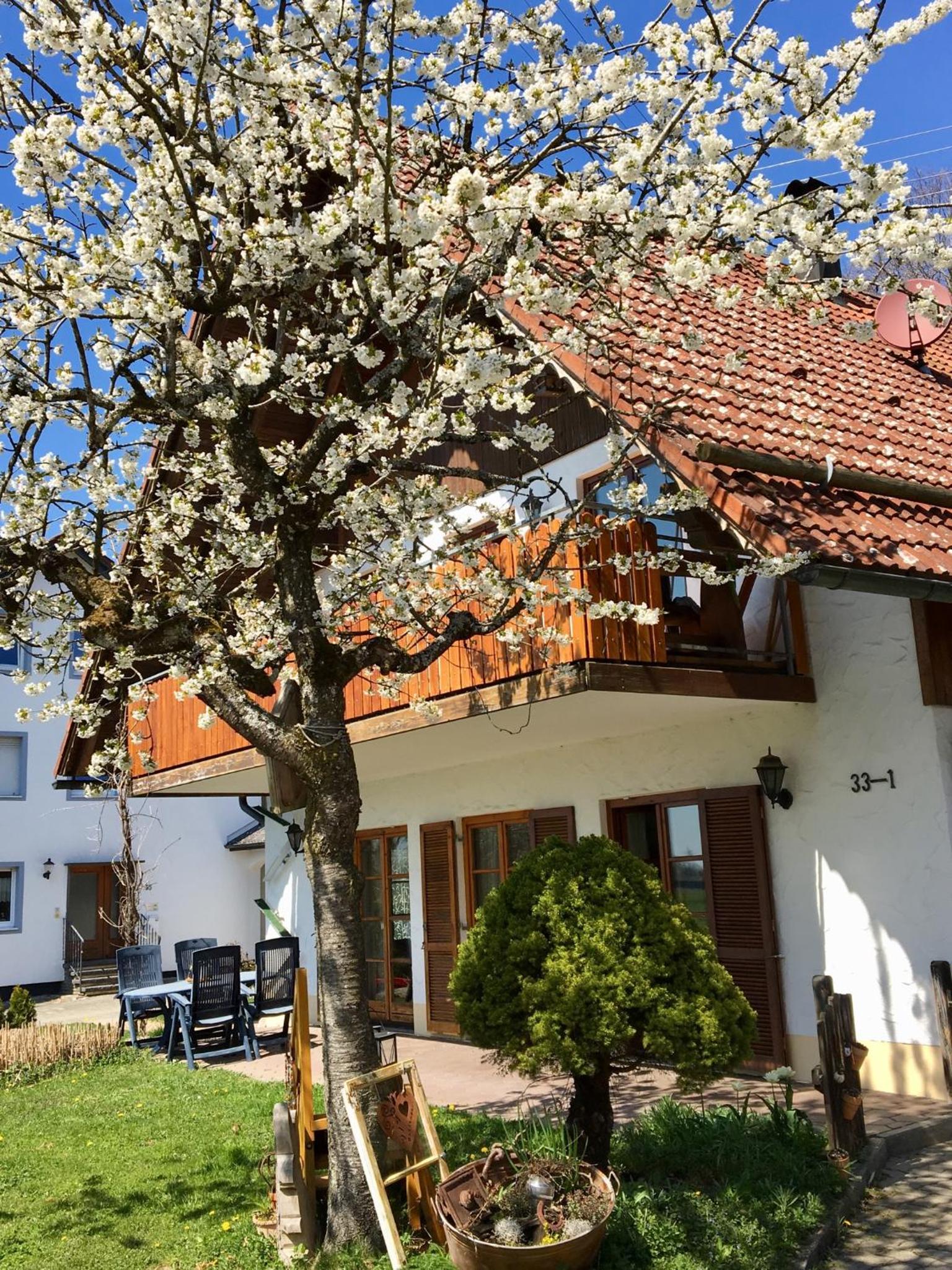 Ferienwohnung Wippenreute view 3