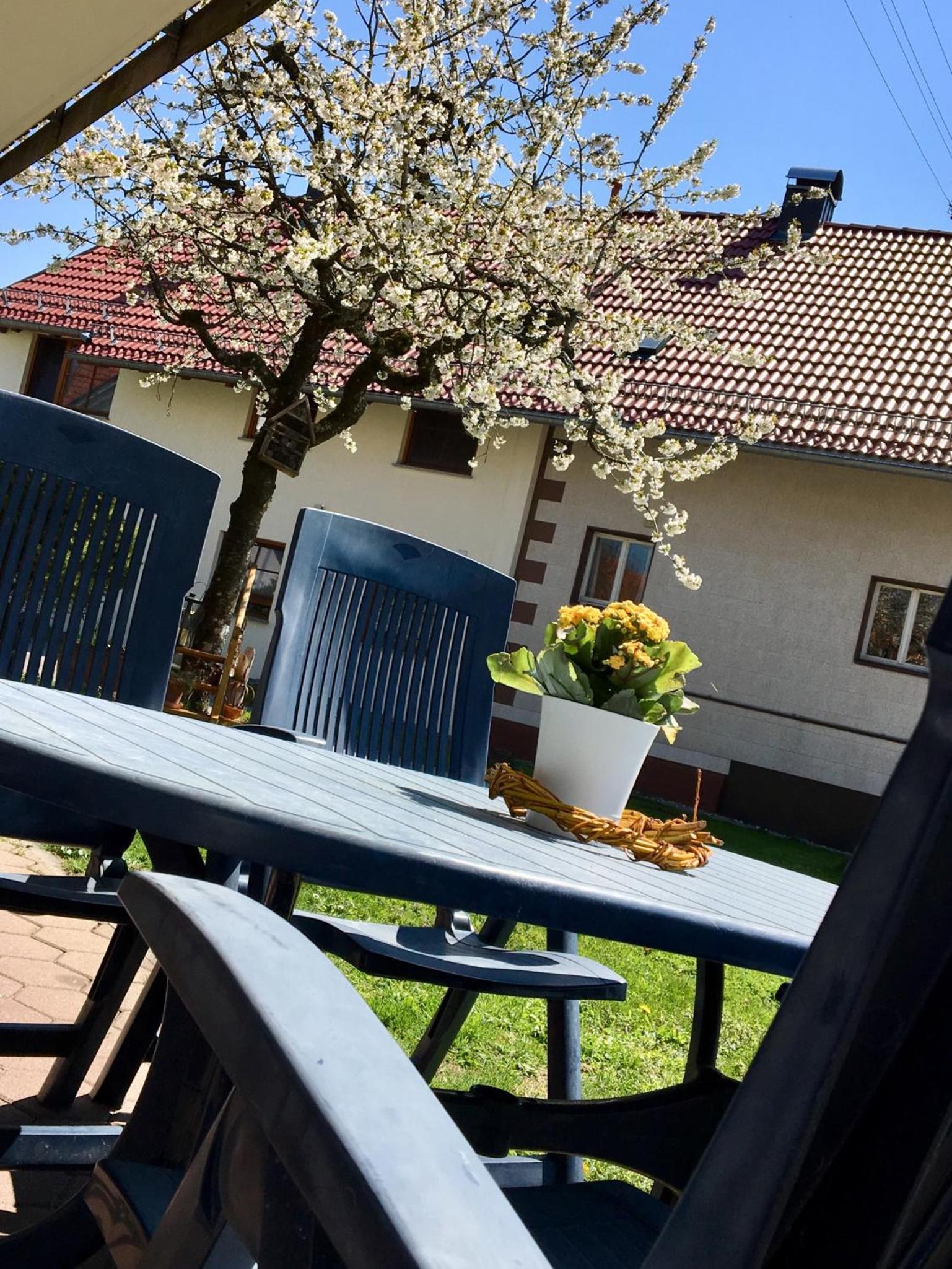Ferienwohnung Wippenreute view 4