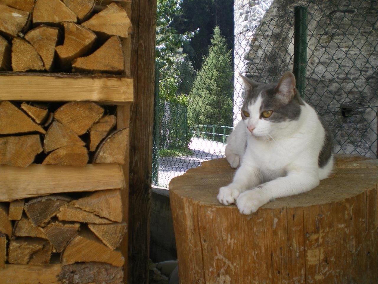 Photo 27