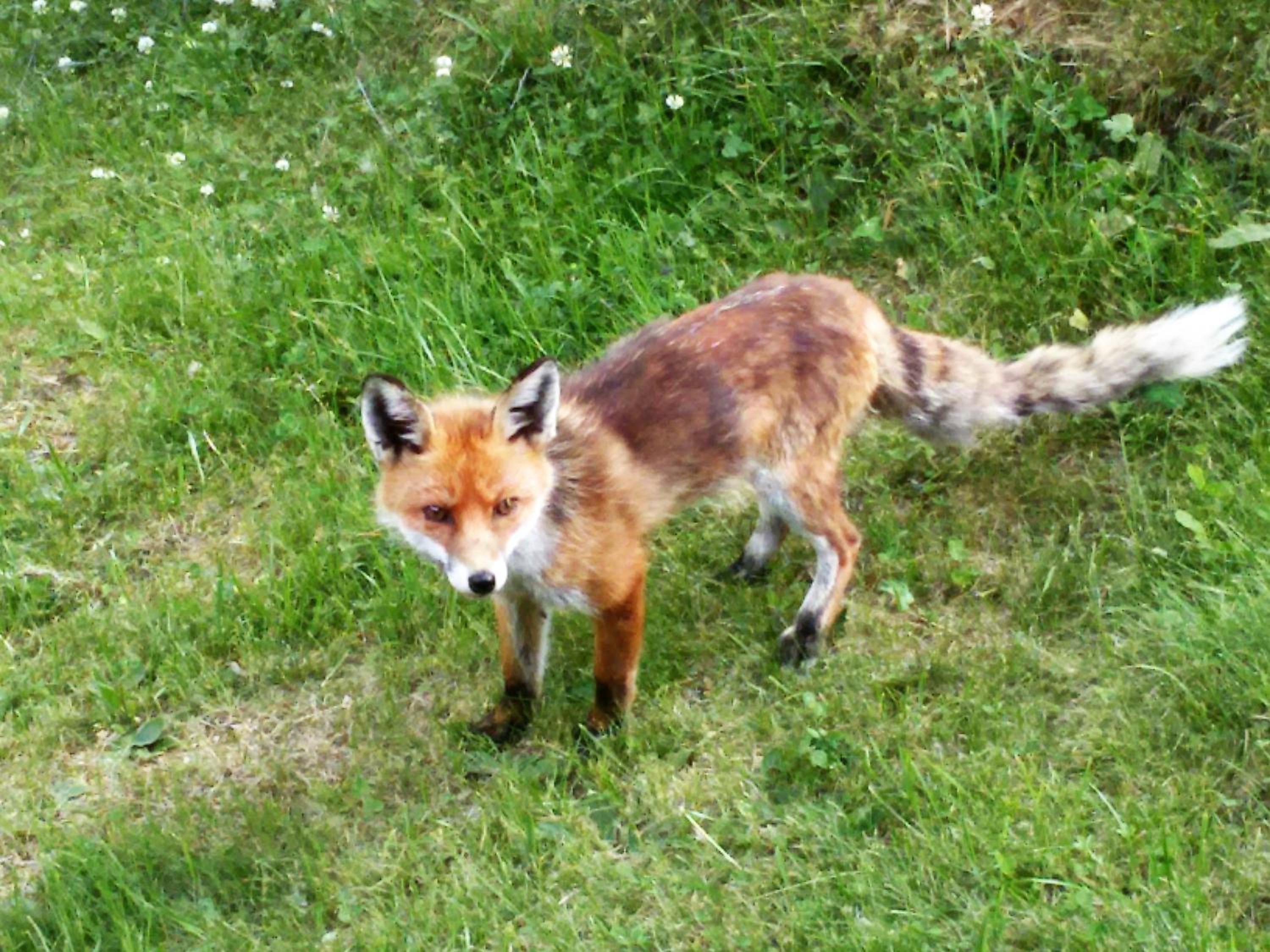 Photo 30