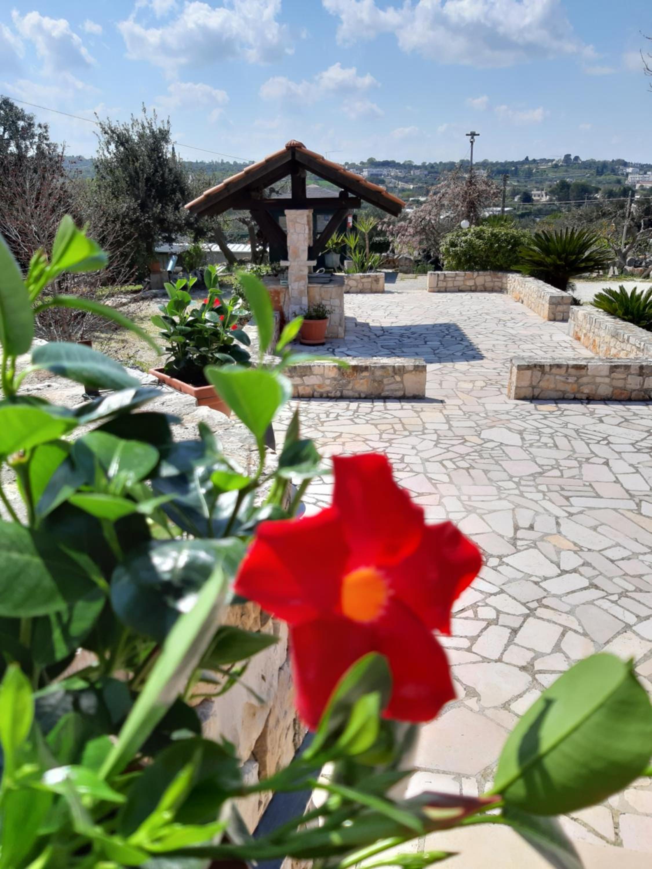 B&B La Rosa dei Trulli Alberobello
