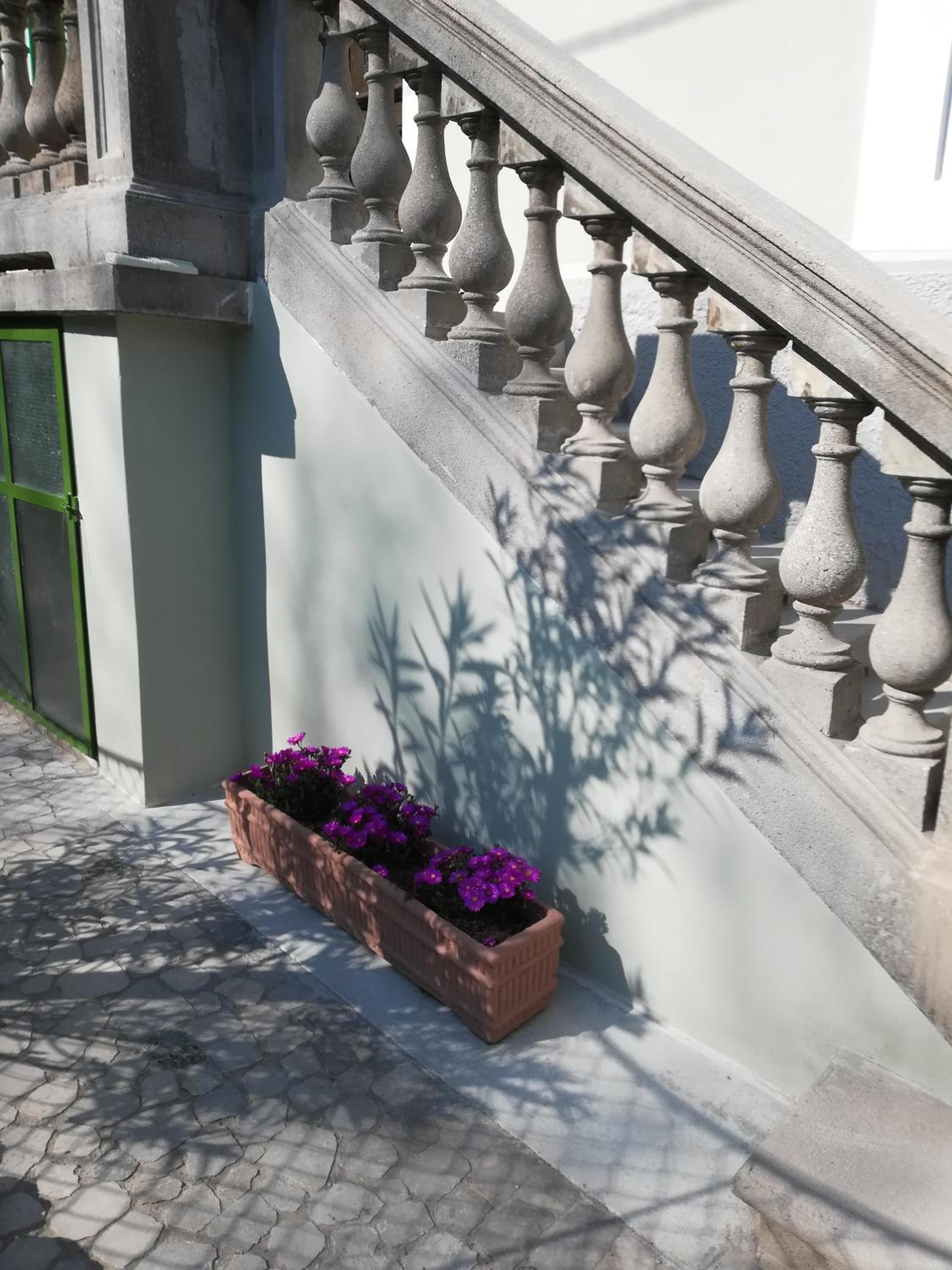 AGLI OLEANDRI appartamento in villa con con parcheggio view 3