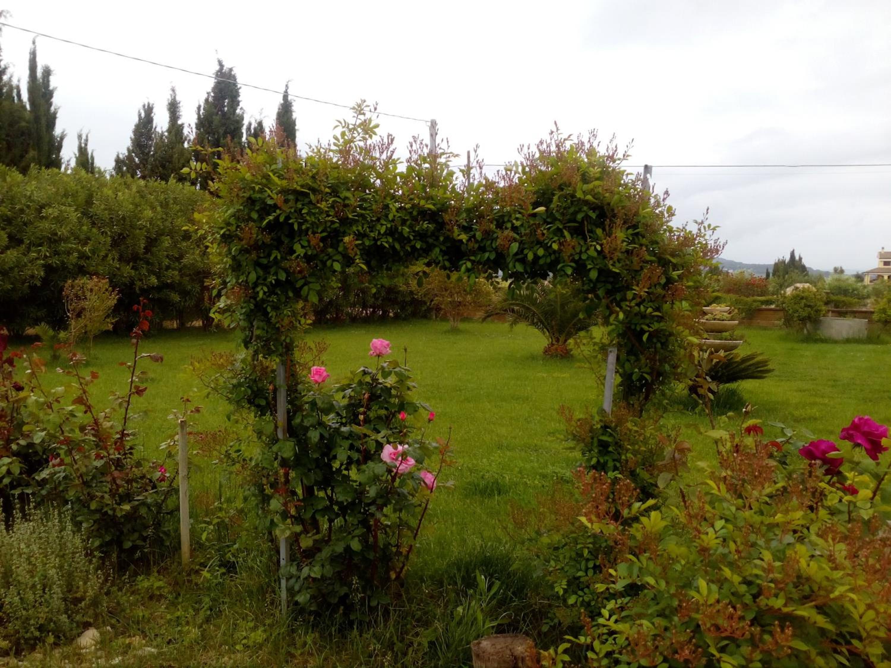 Photo 45