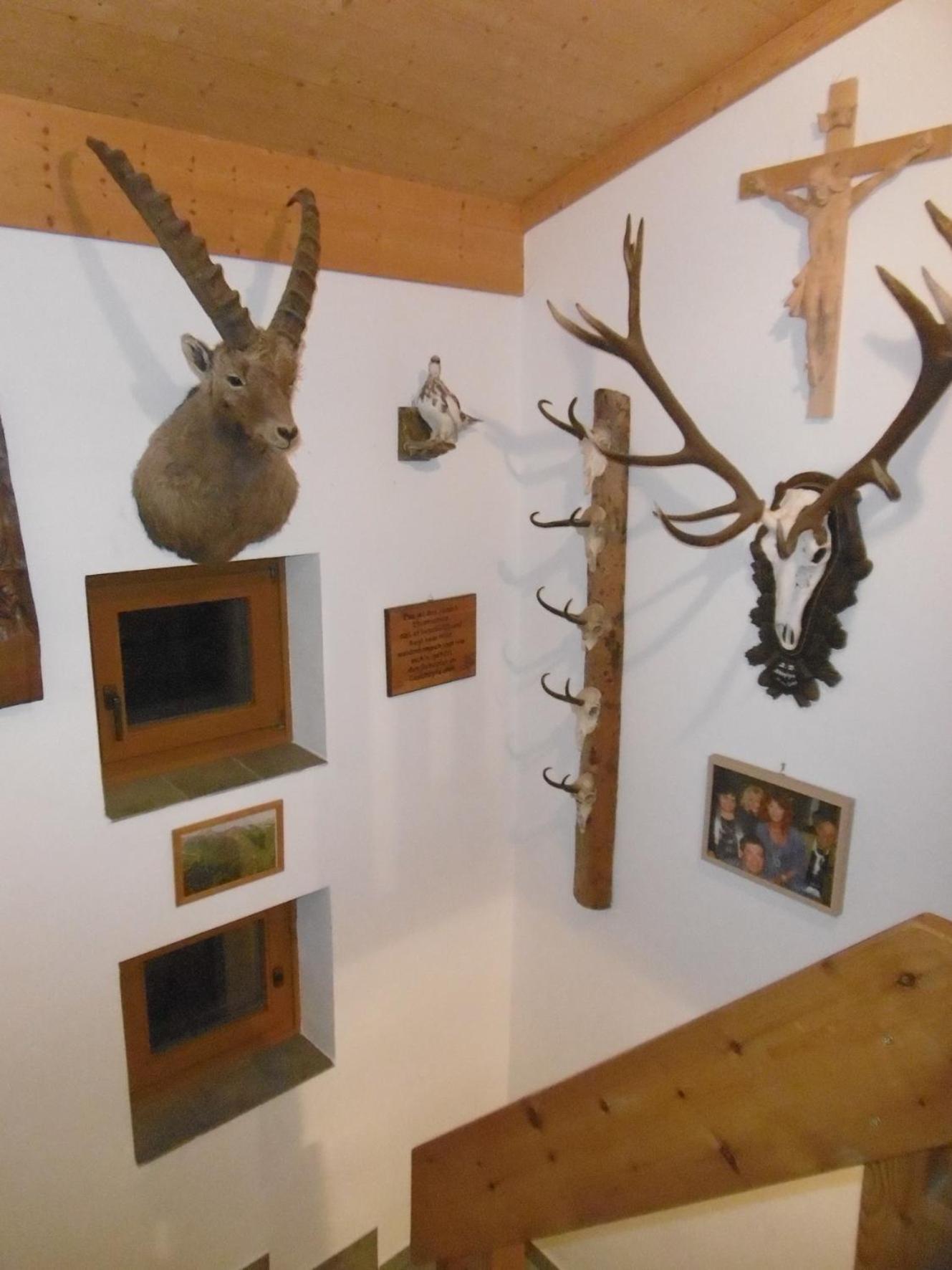Ferienhaus Römerhütte