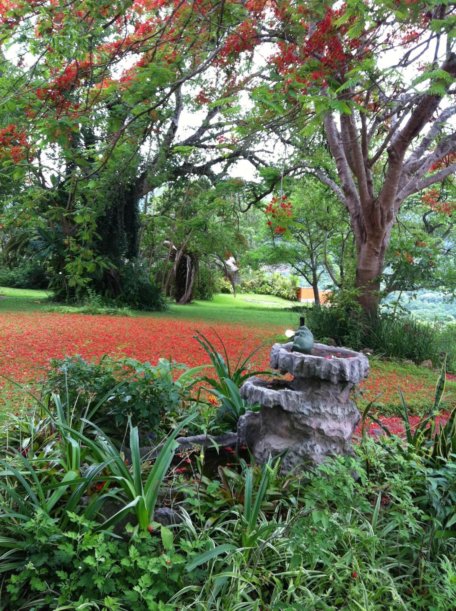 Hazyview Vacations - Lions Rock Rapids - Lodge - Property Image 36