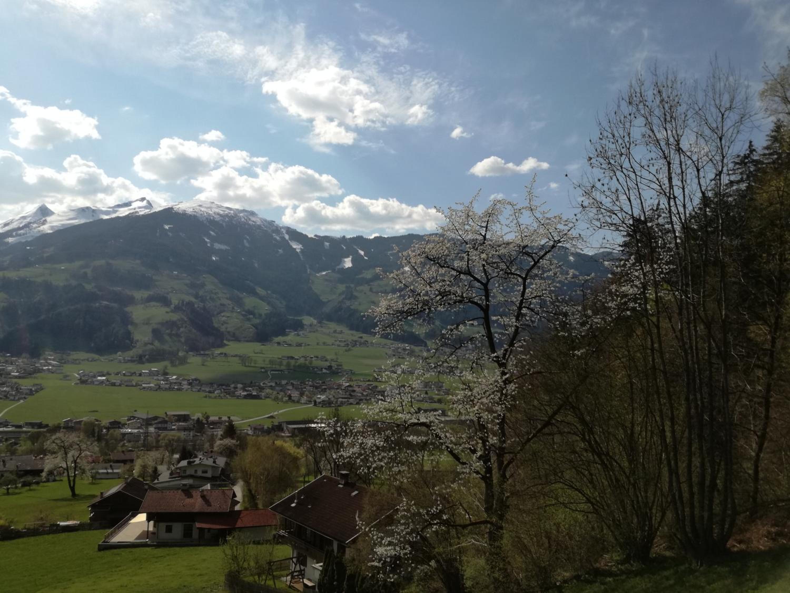 Apart Tiefenbach