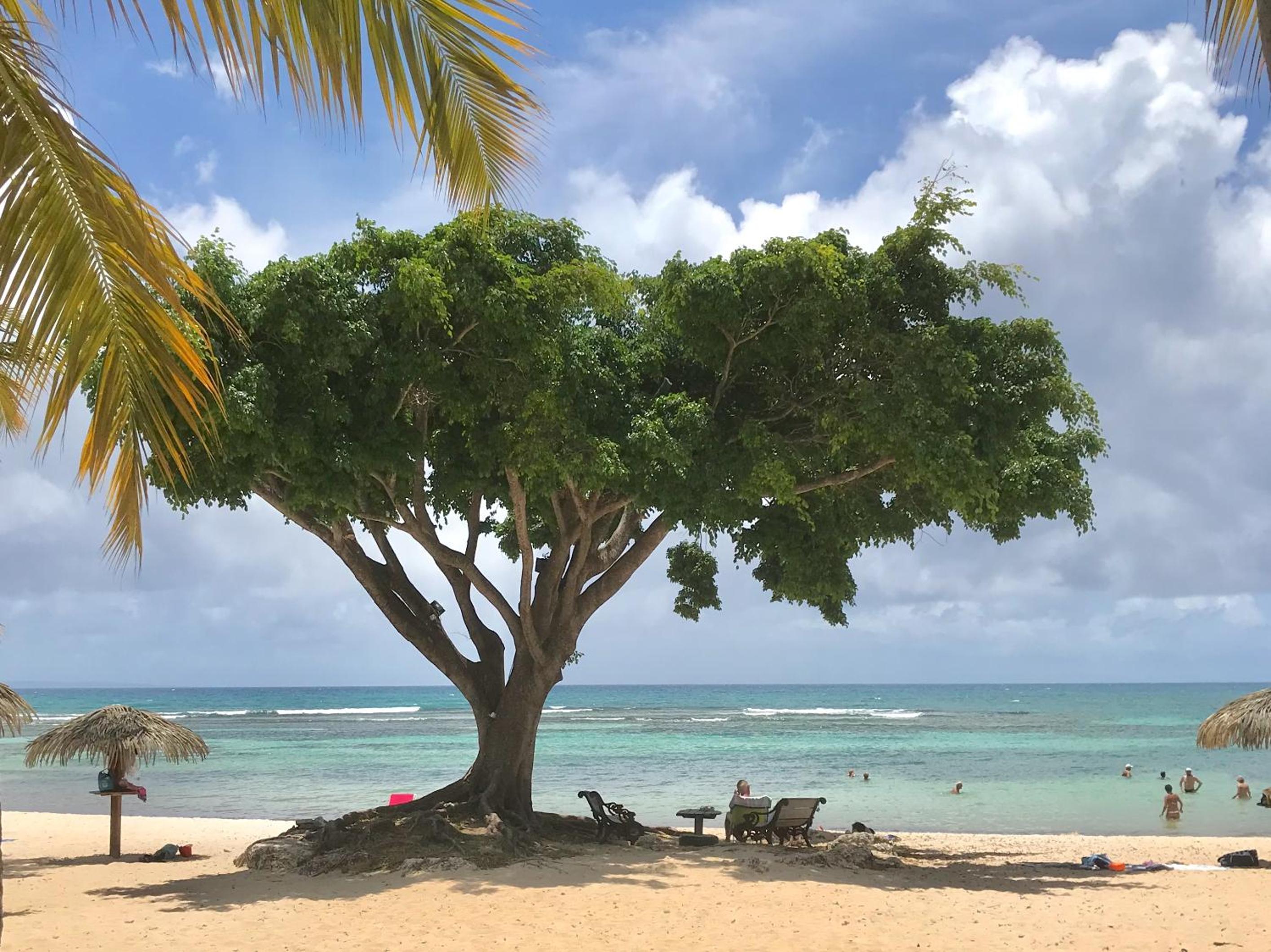 Ti.Maanga Vue Mer Pieds Dans L'Eau