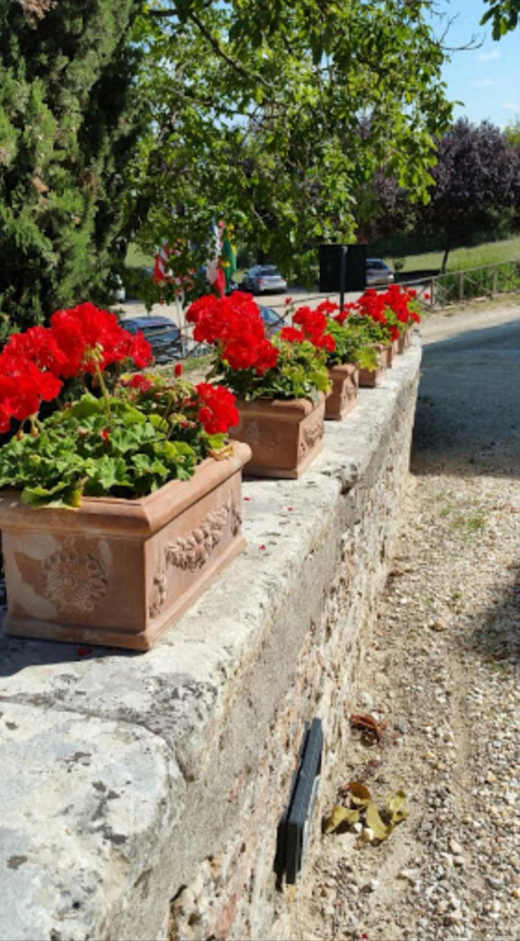 Castel Pietraio WineResort