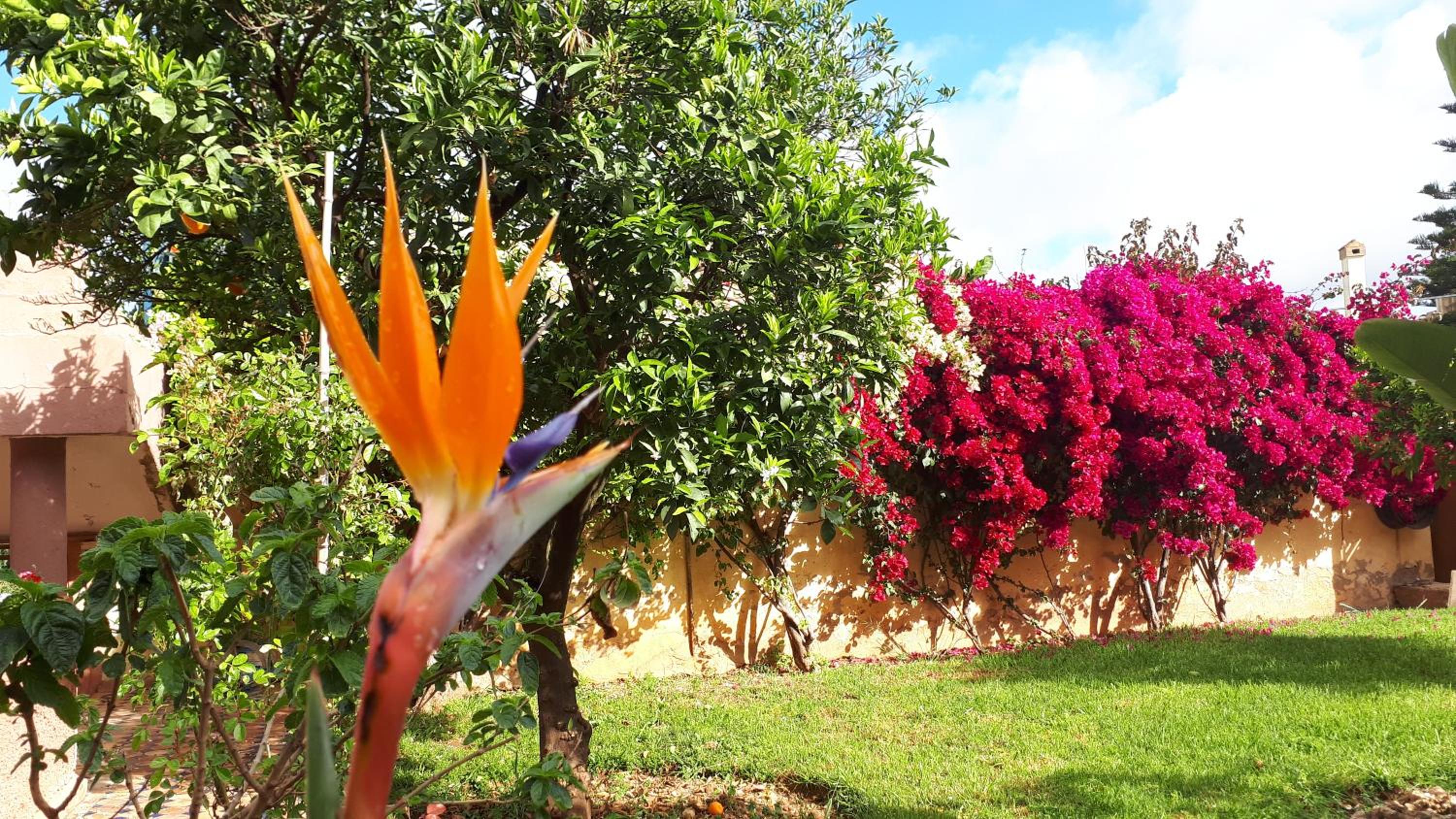 other