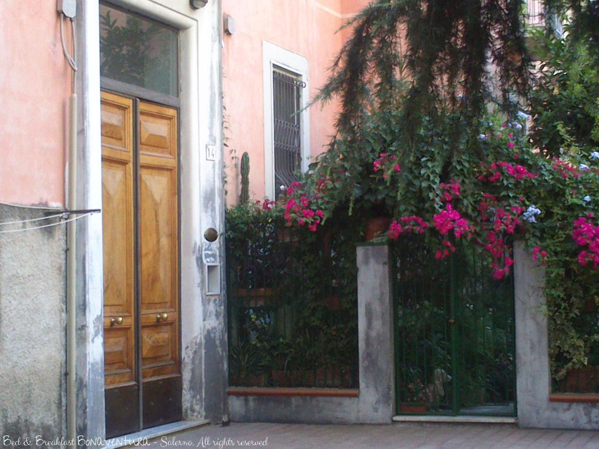 Photo 13