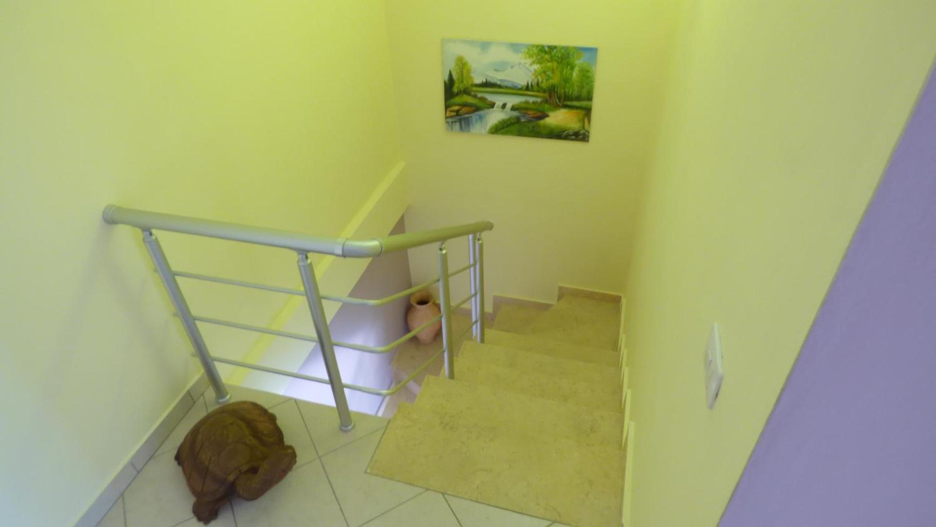 Duplex
