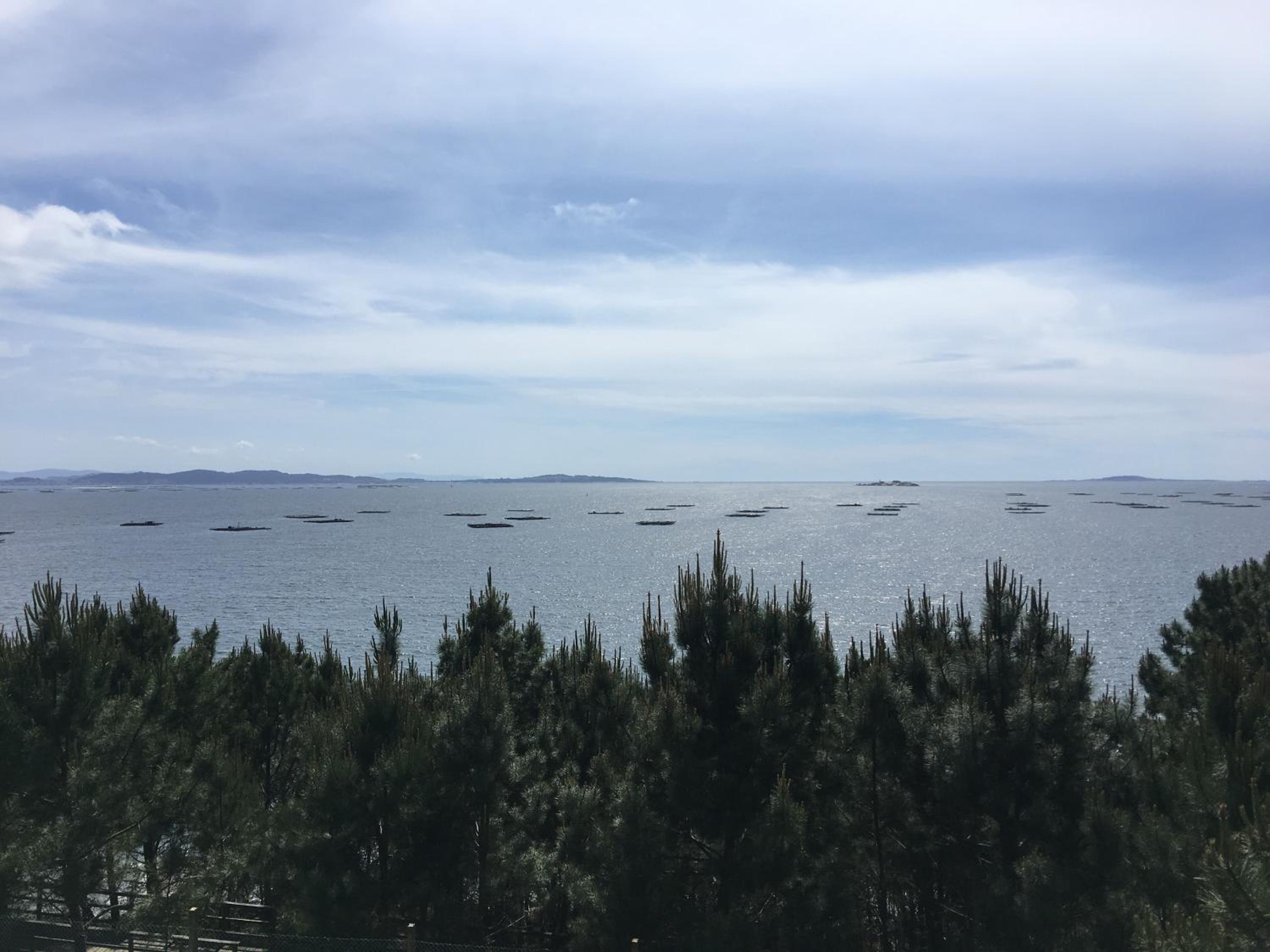 Camping Ria de Arosa 1 view 5
