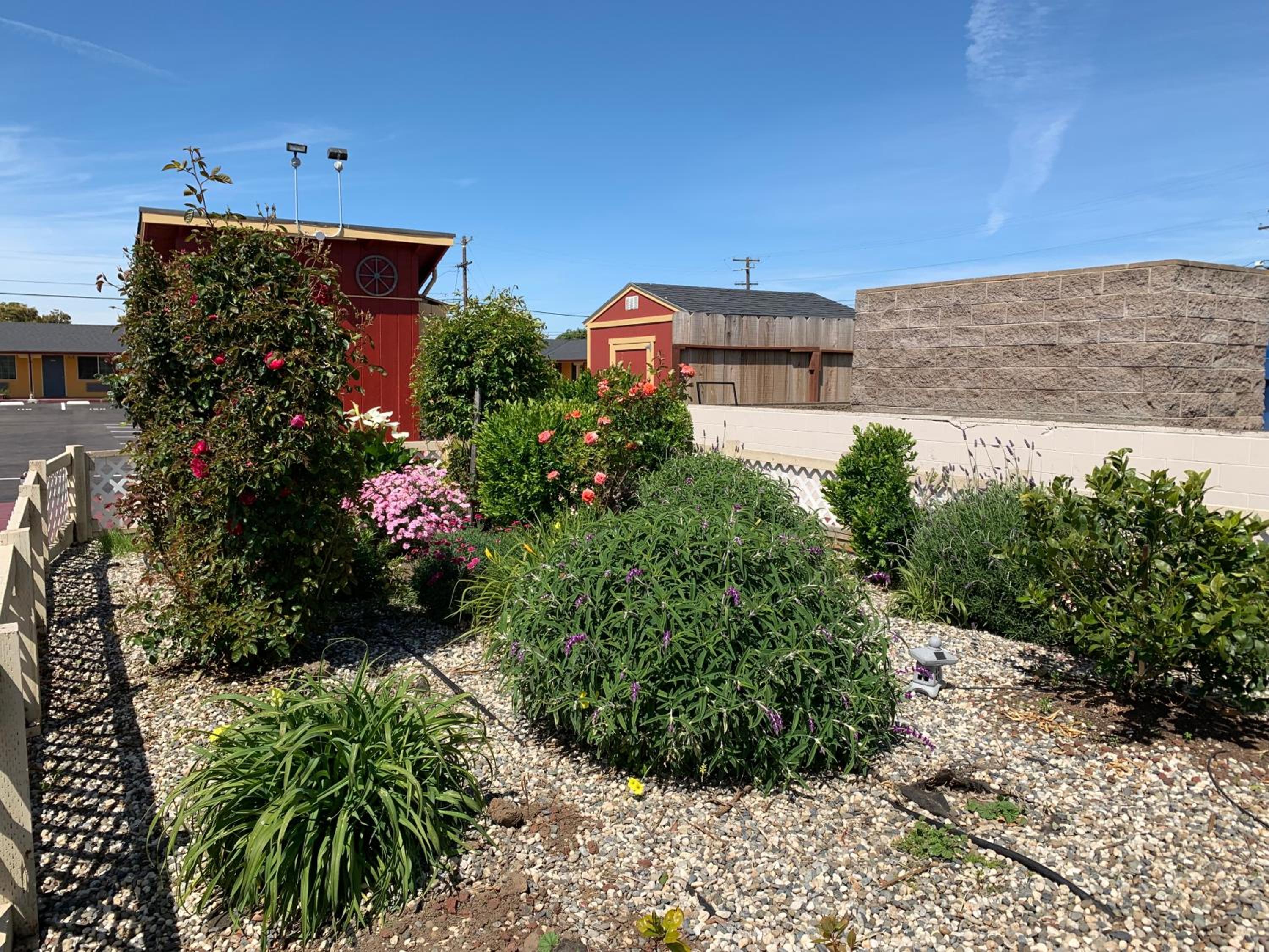 Wagon Wheel Motel