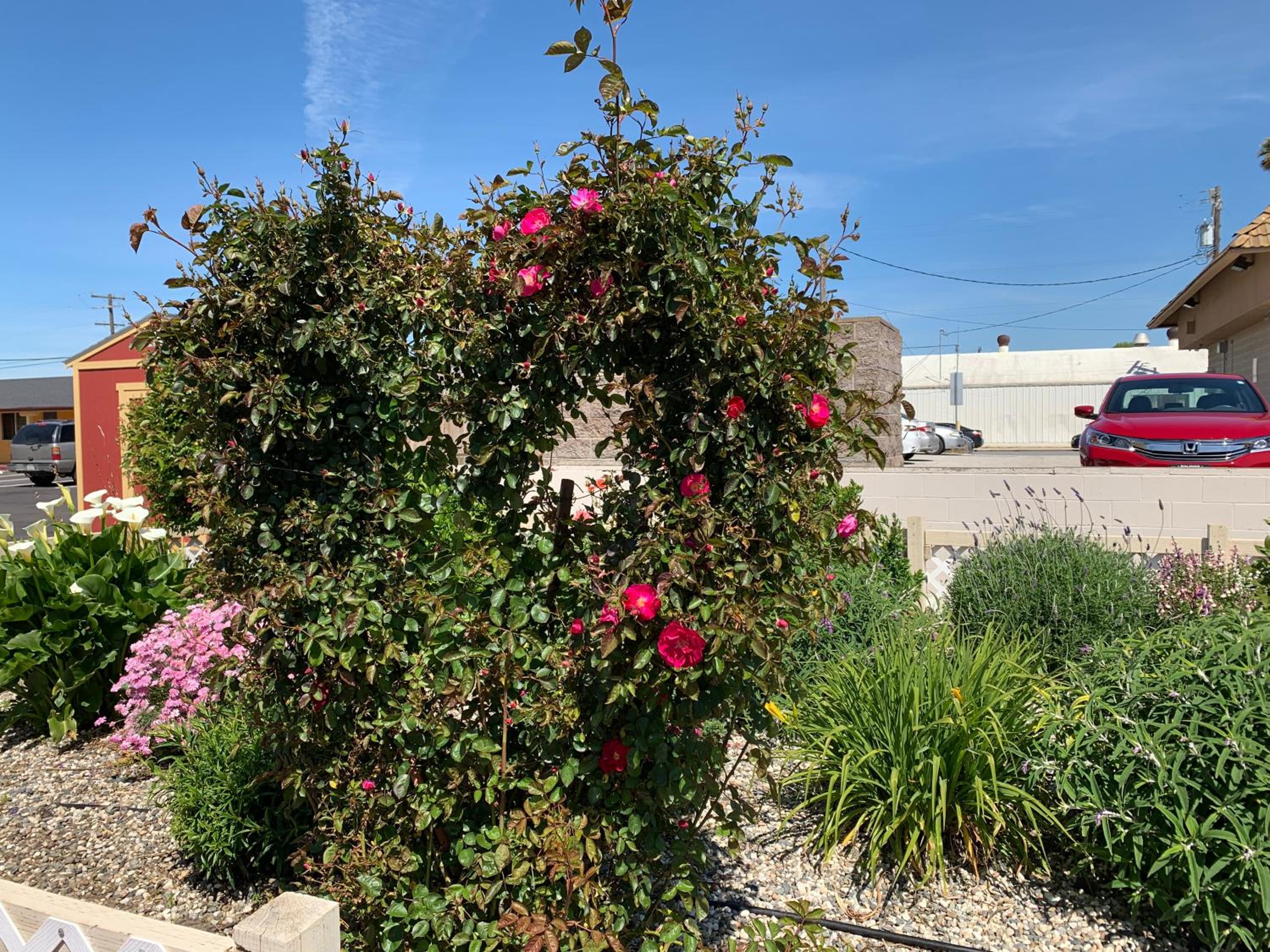 Wagon Wheel Motel