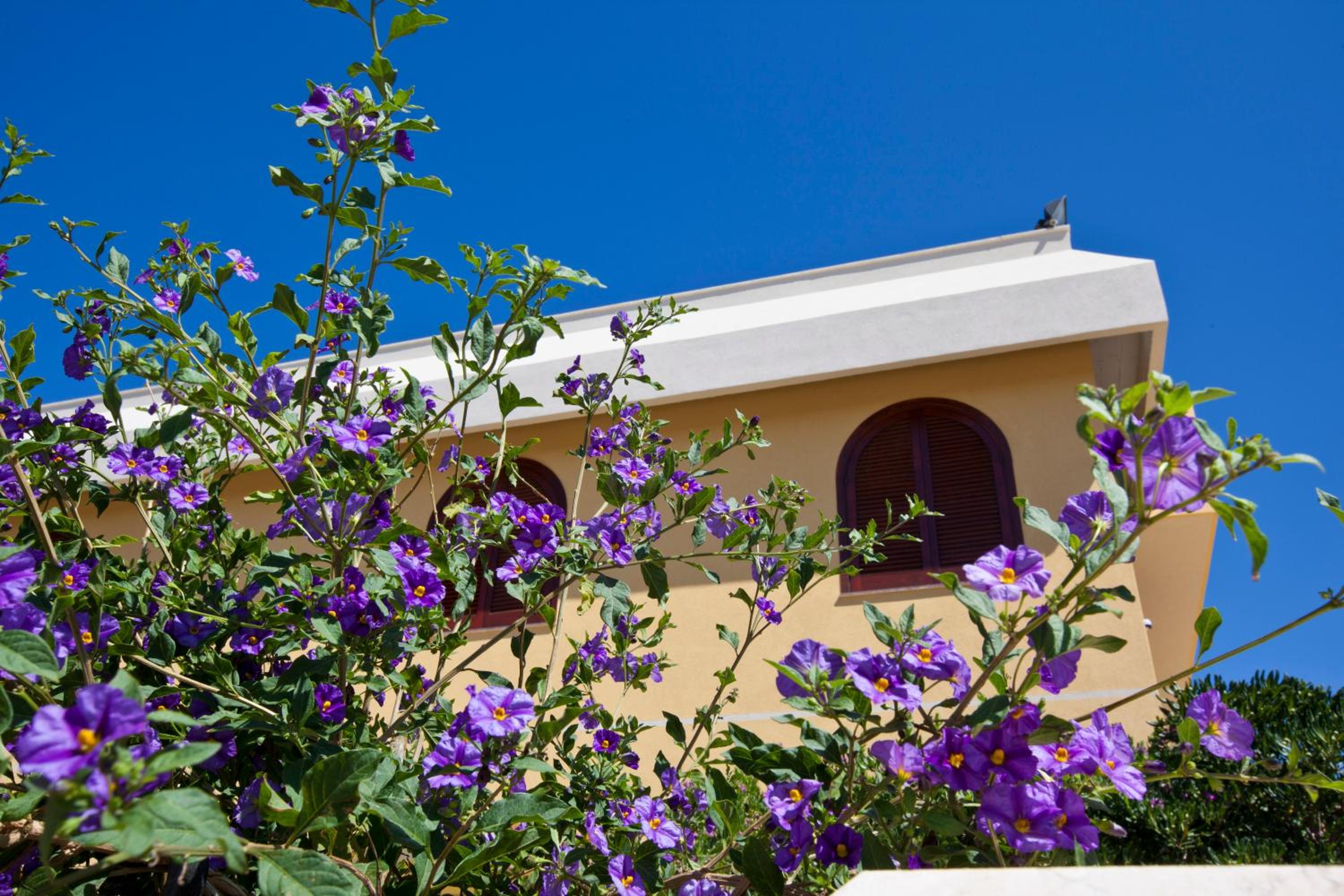 Orlando Vacanze Camere